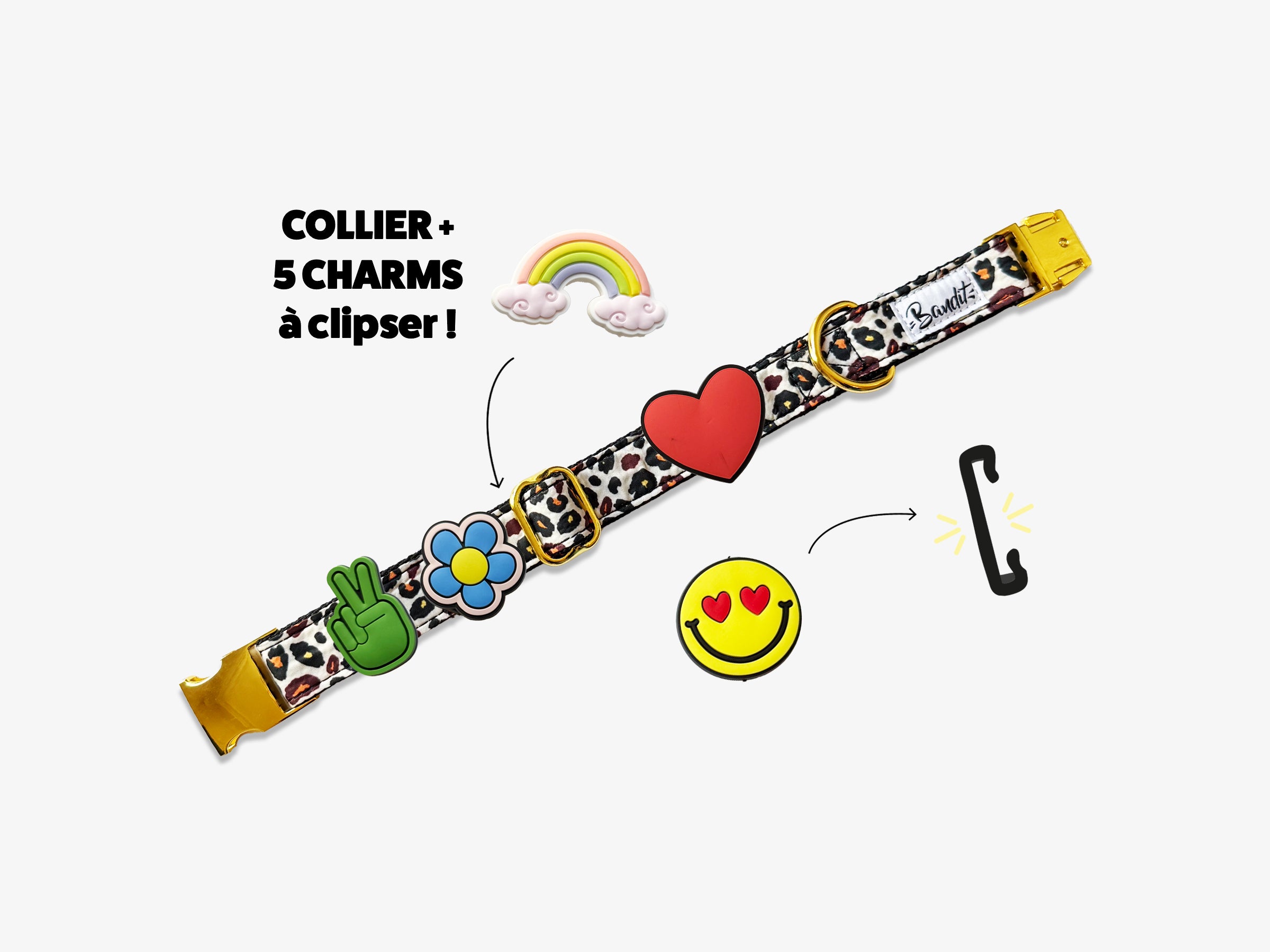 Kit Collier + pack de 5 charms