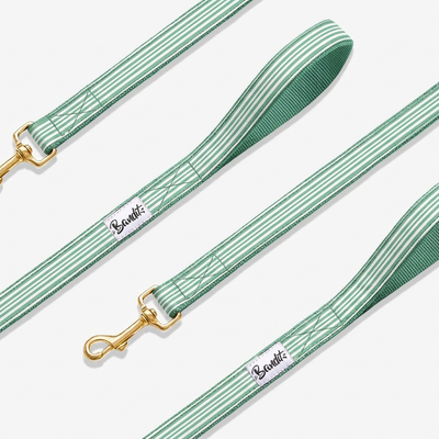 Laisse pour chien rayé vert et blanc