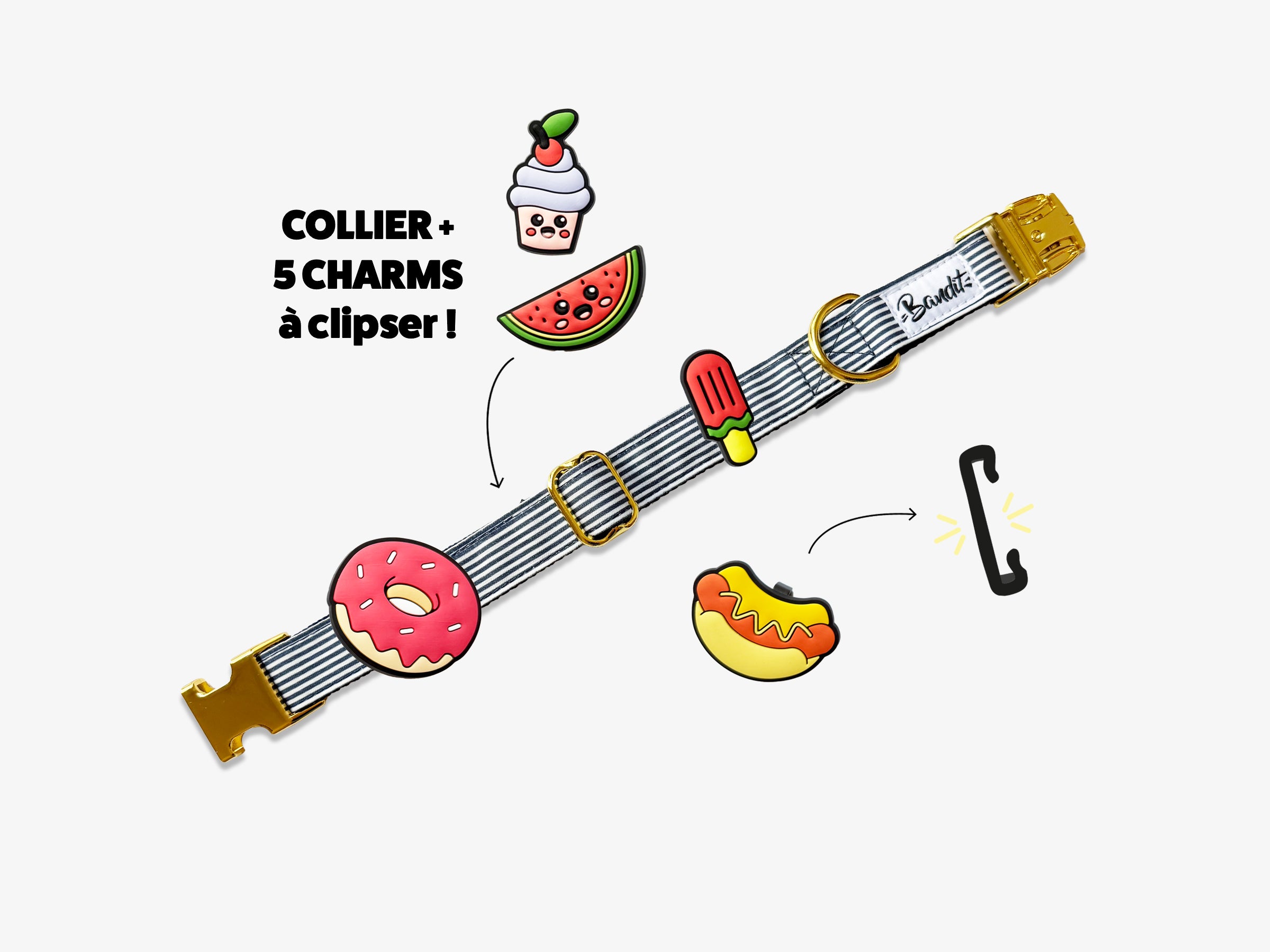 Kit Collier + pack de 5 charms