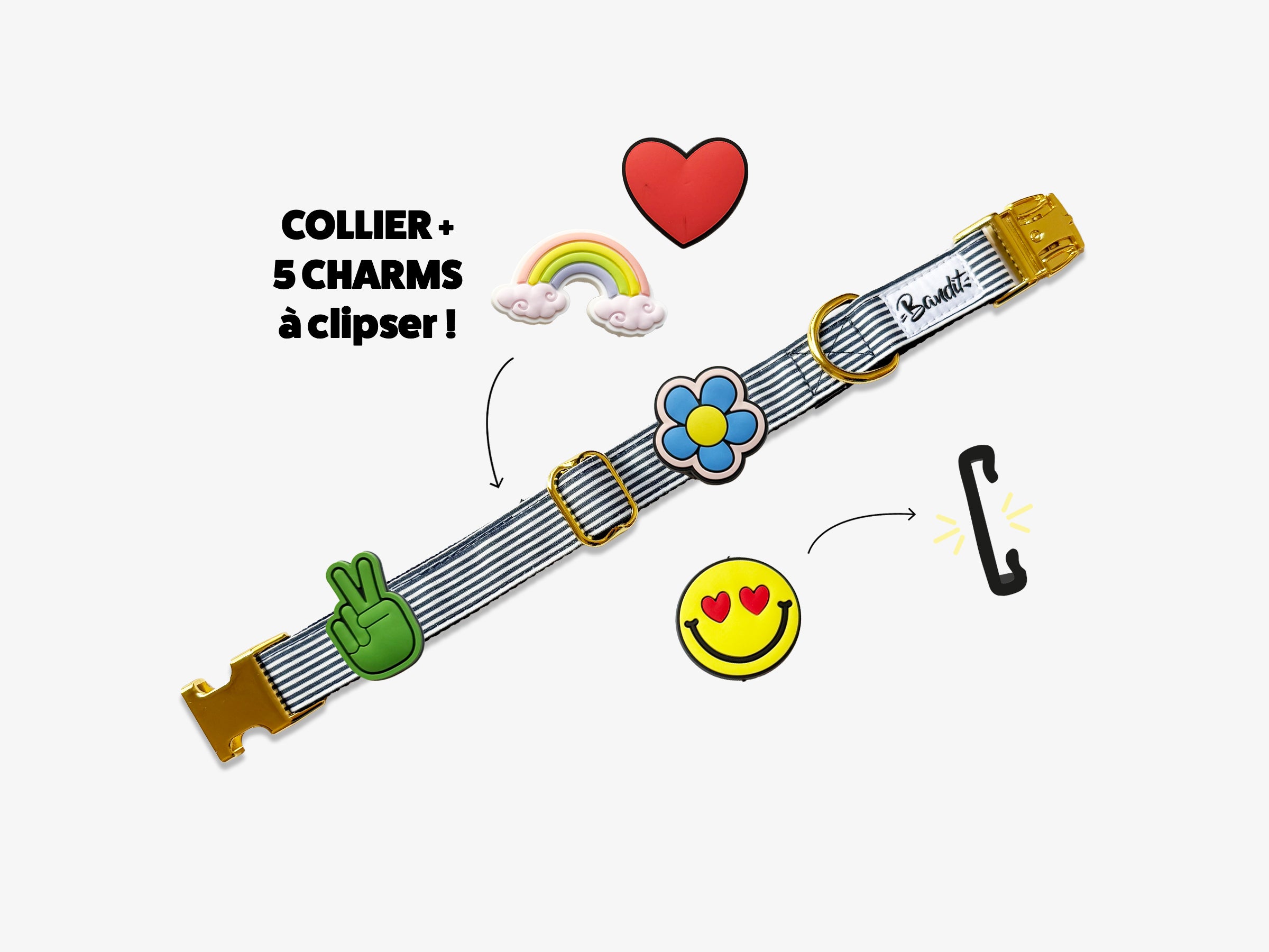 Kit Collier + pack de 5 charms