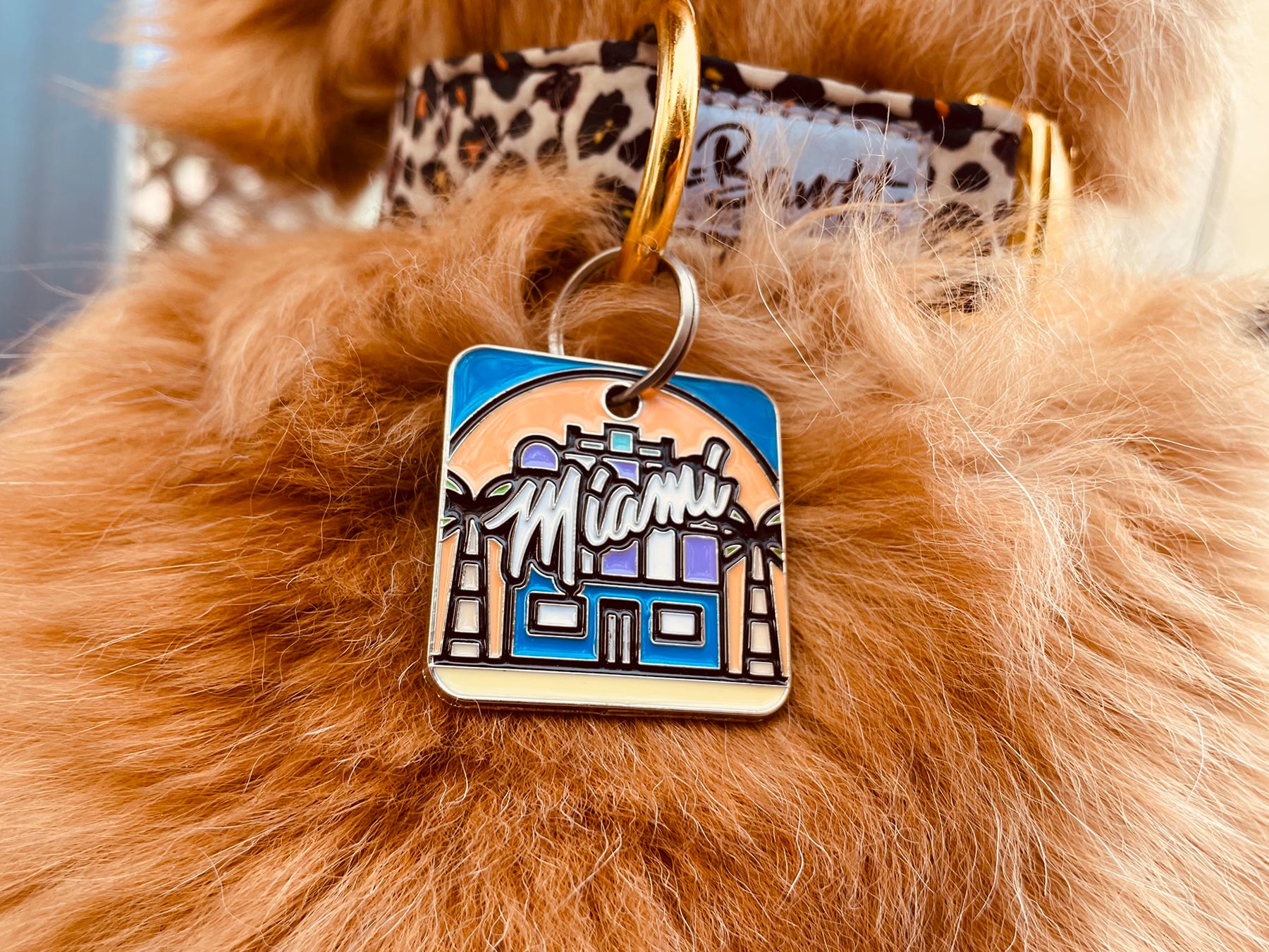 Médaille Miami pour chien