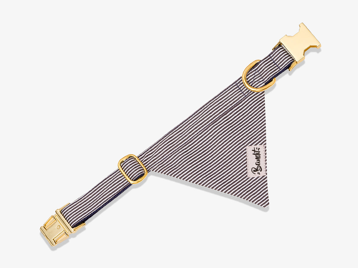 Bandit - Bandana Pour Chien - Taille M - Pink Zebra - Tour De Cou 30-38