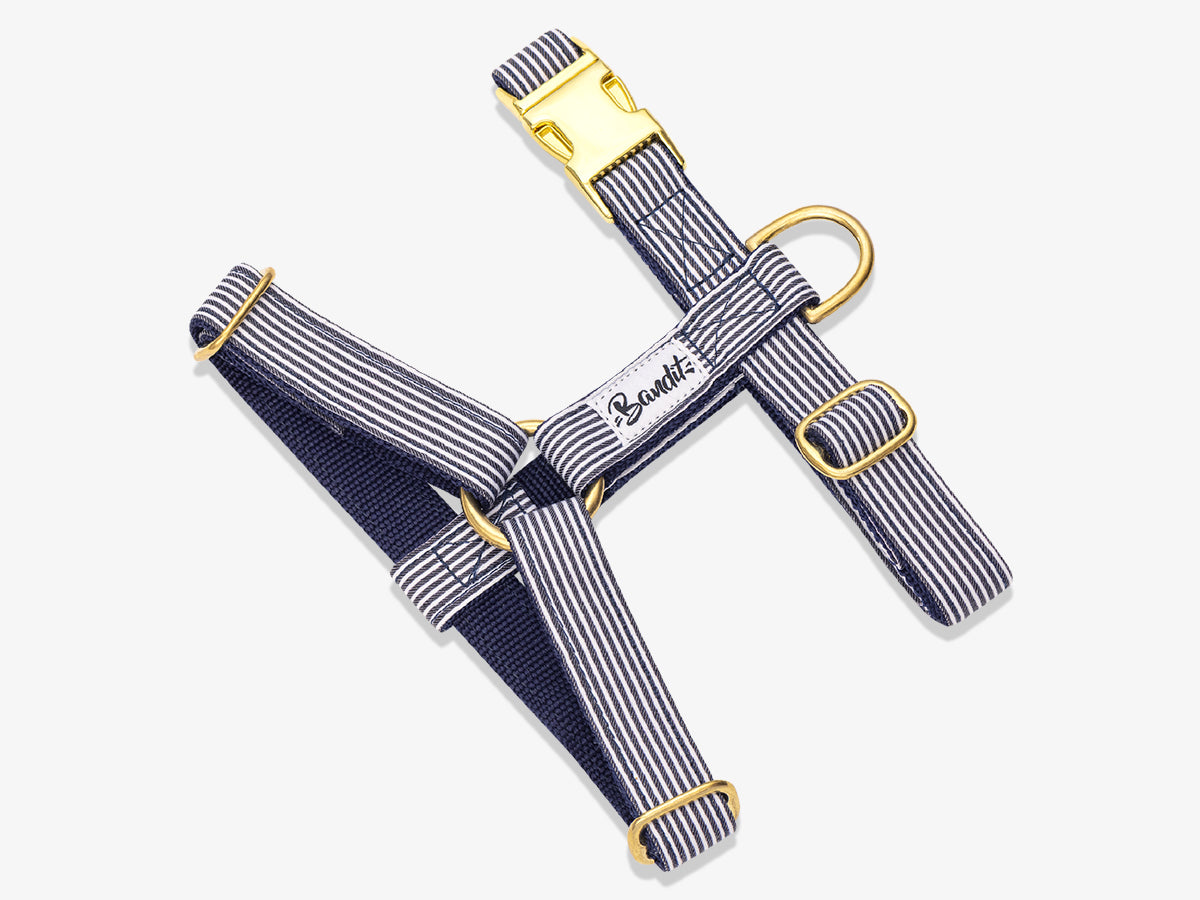 Harnais pour chien motif marin
