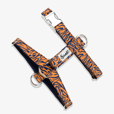 Harnais tigré orange et bleu