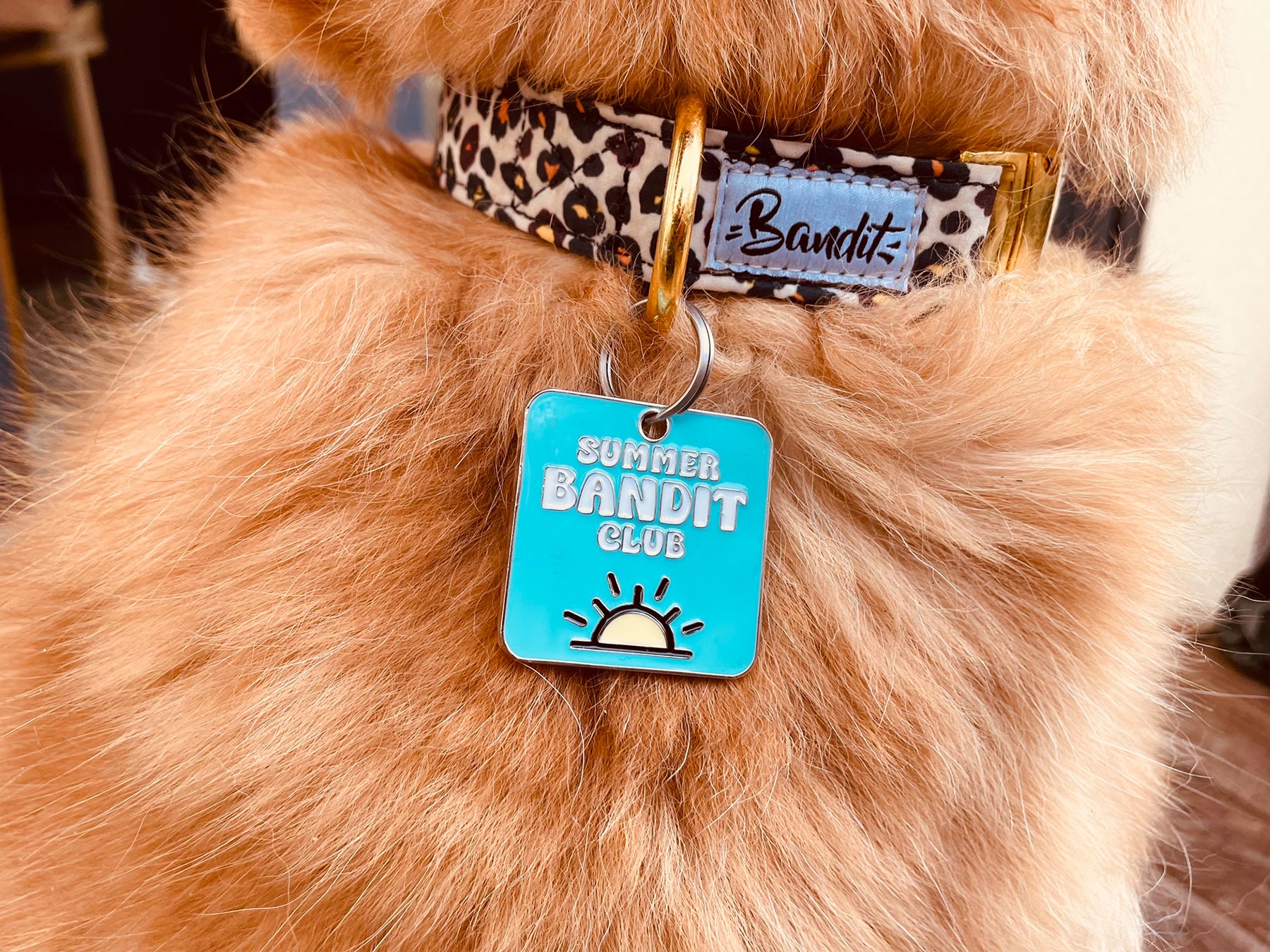 Médaille summer pour chien