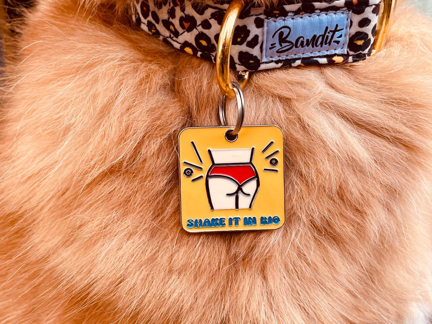 Médaille summer pour chien