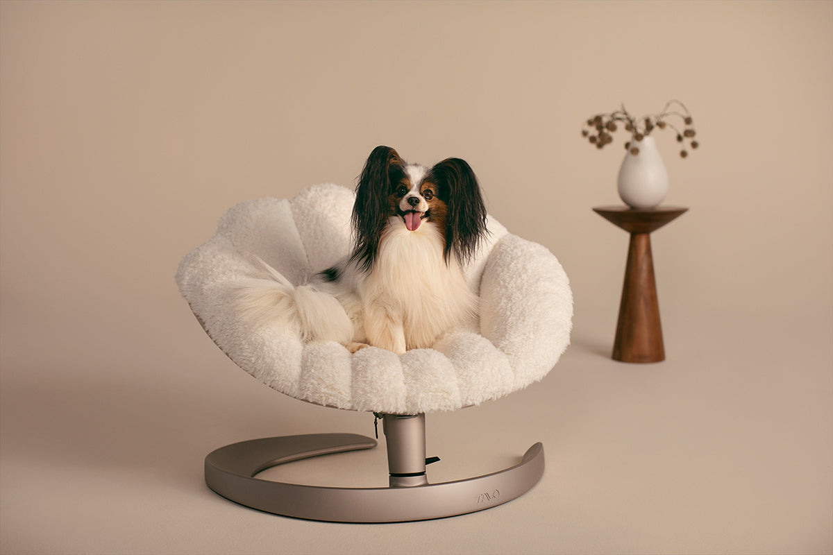 Fauteuil suspendu pour animaux Shell Tavo