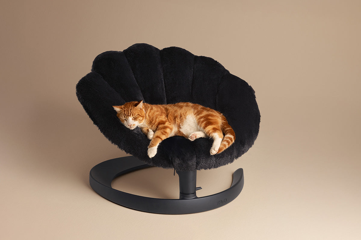 Fauteuil suspendu pour animaux Shell Tavo