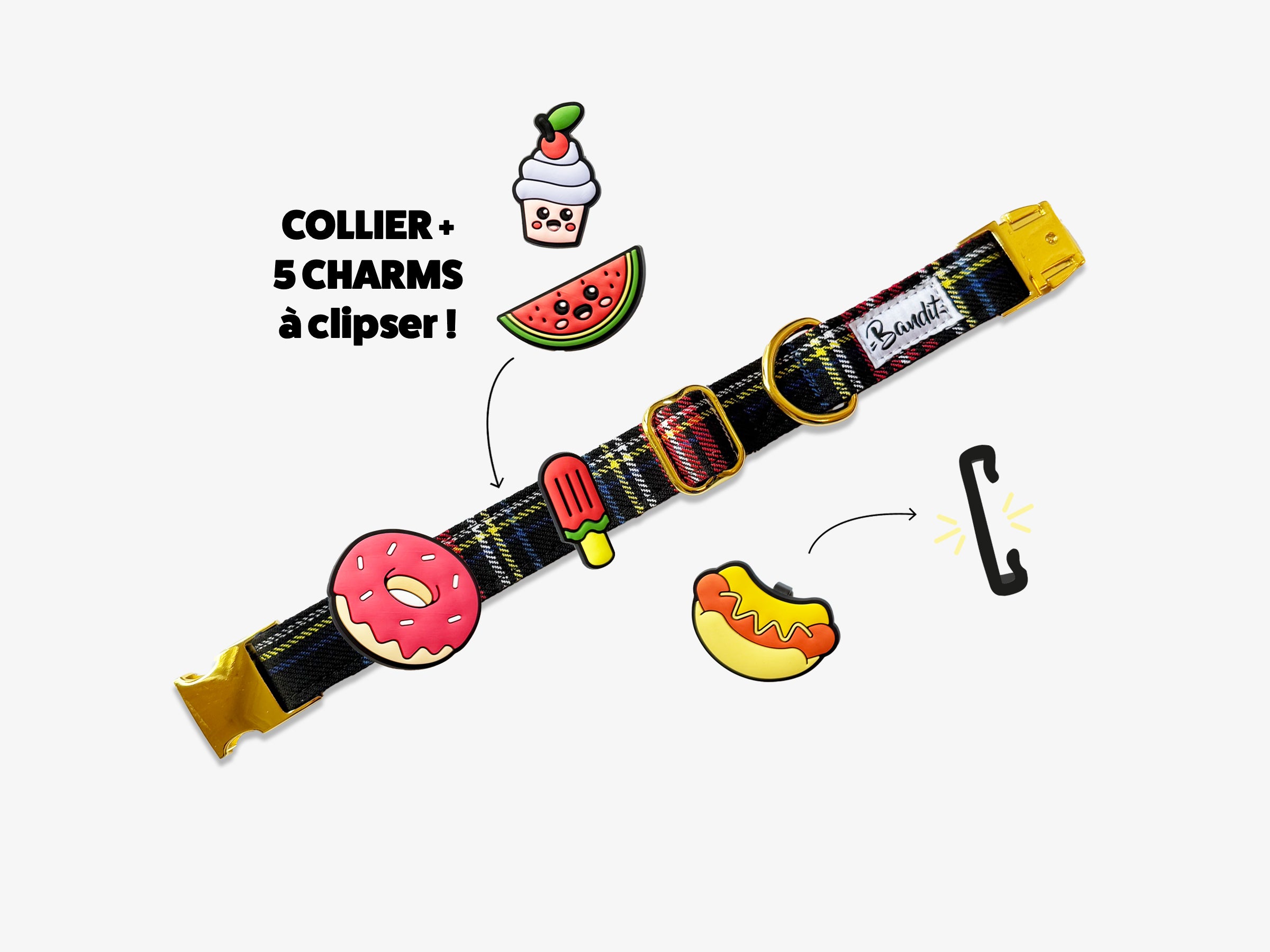 Kit Collier + pack de 5 charms