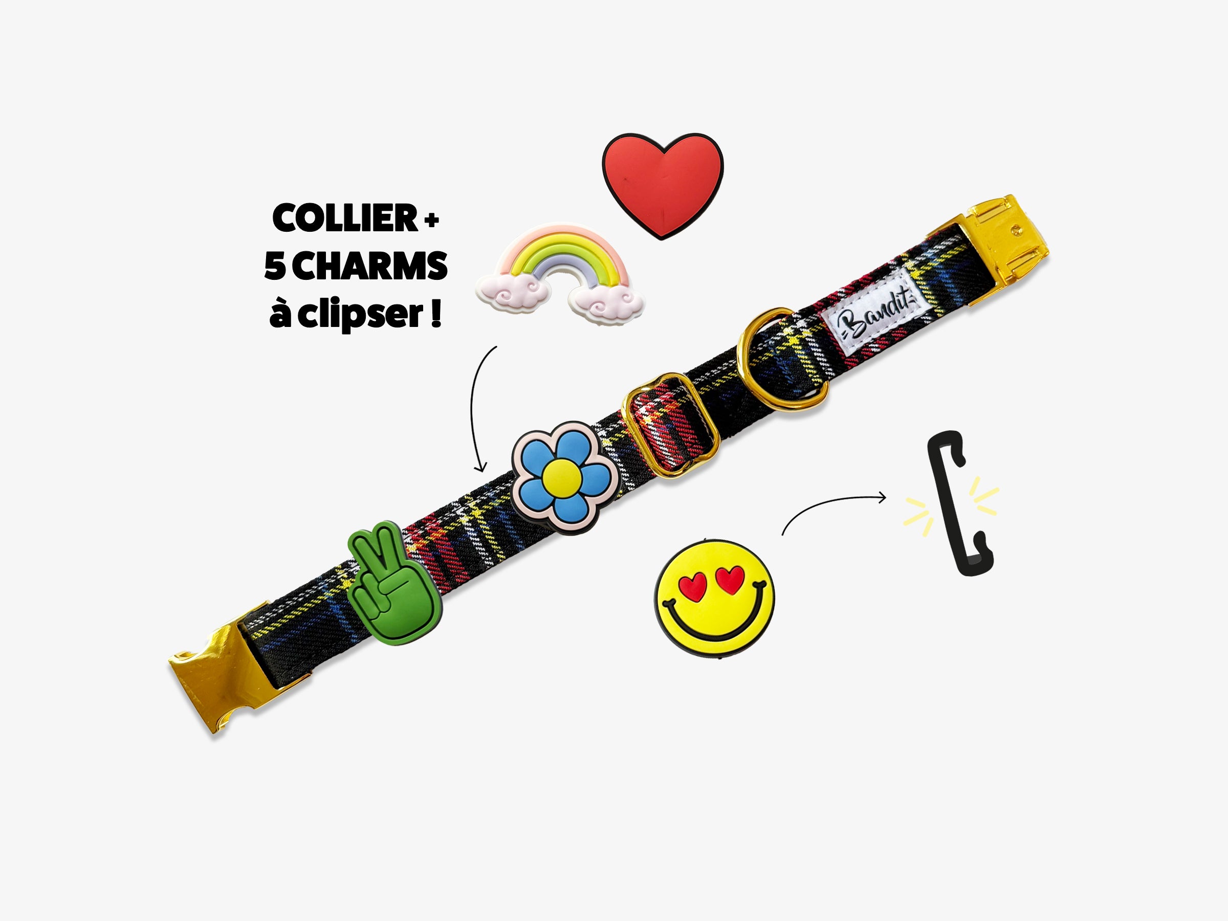 Kit Collier + pack de 5 charms