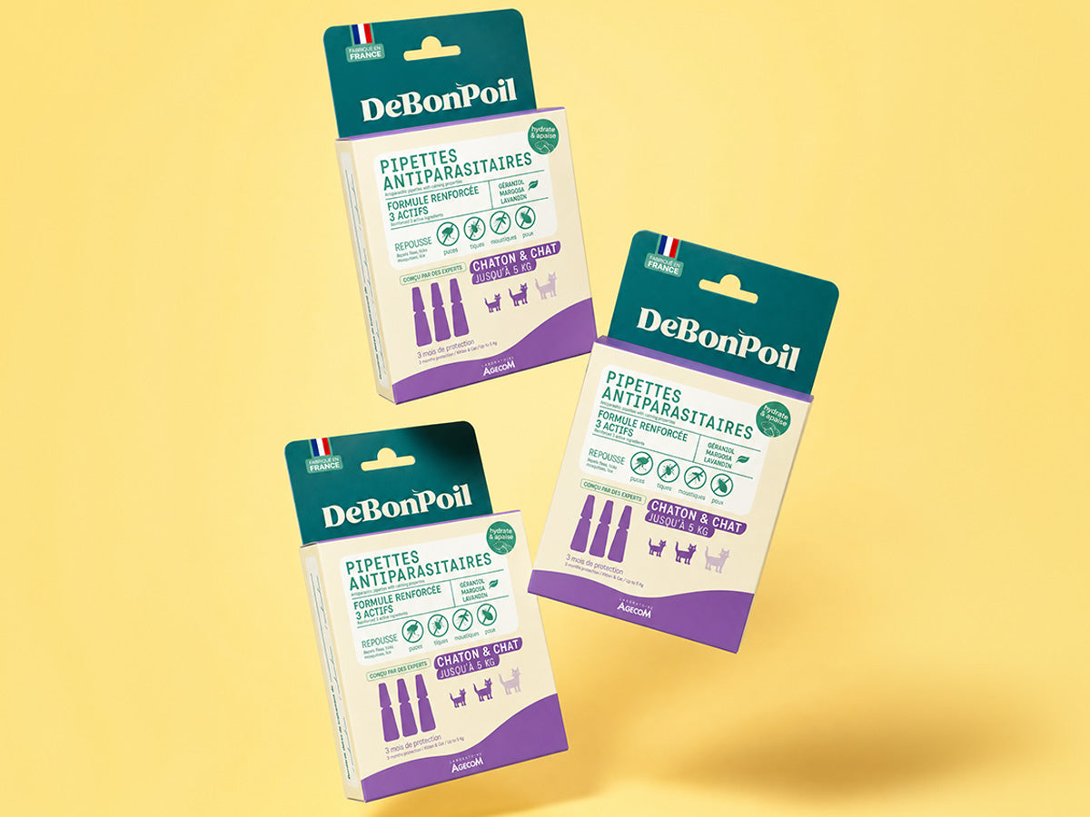 Pipettes antiparasitaires chat