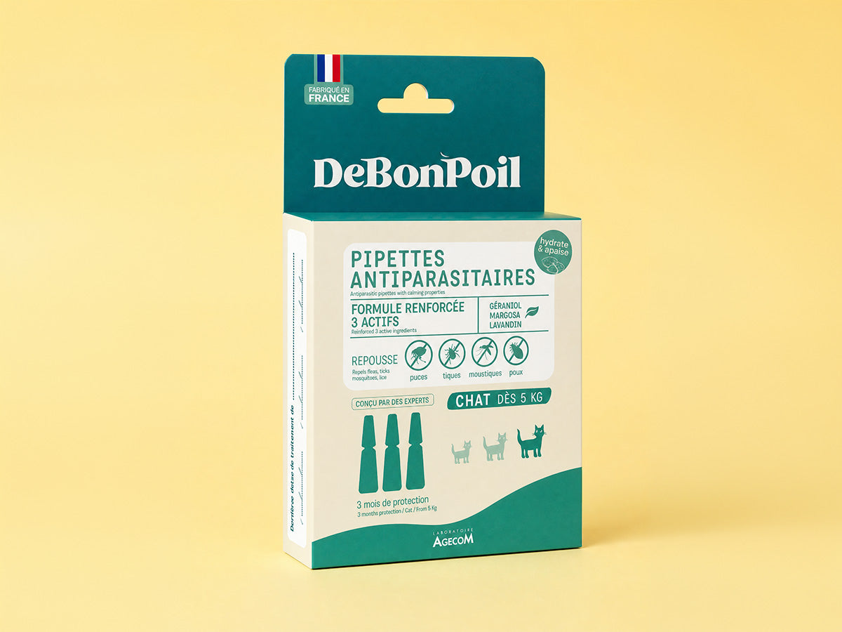Pipettes antiparasitaires chat