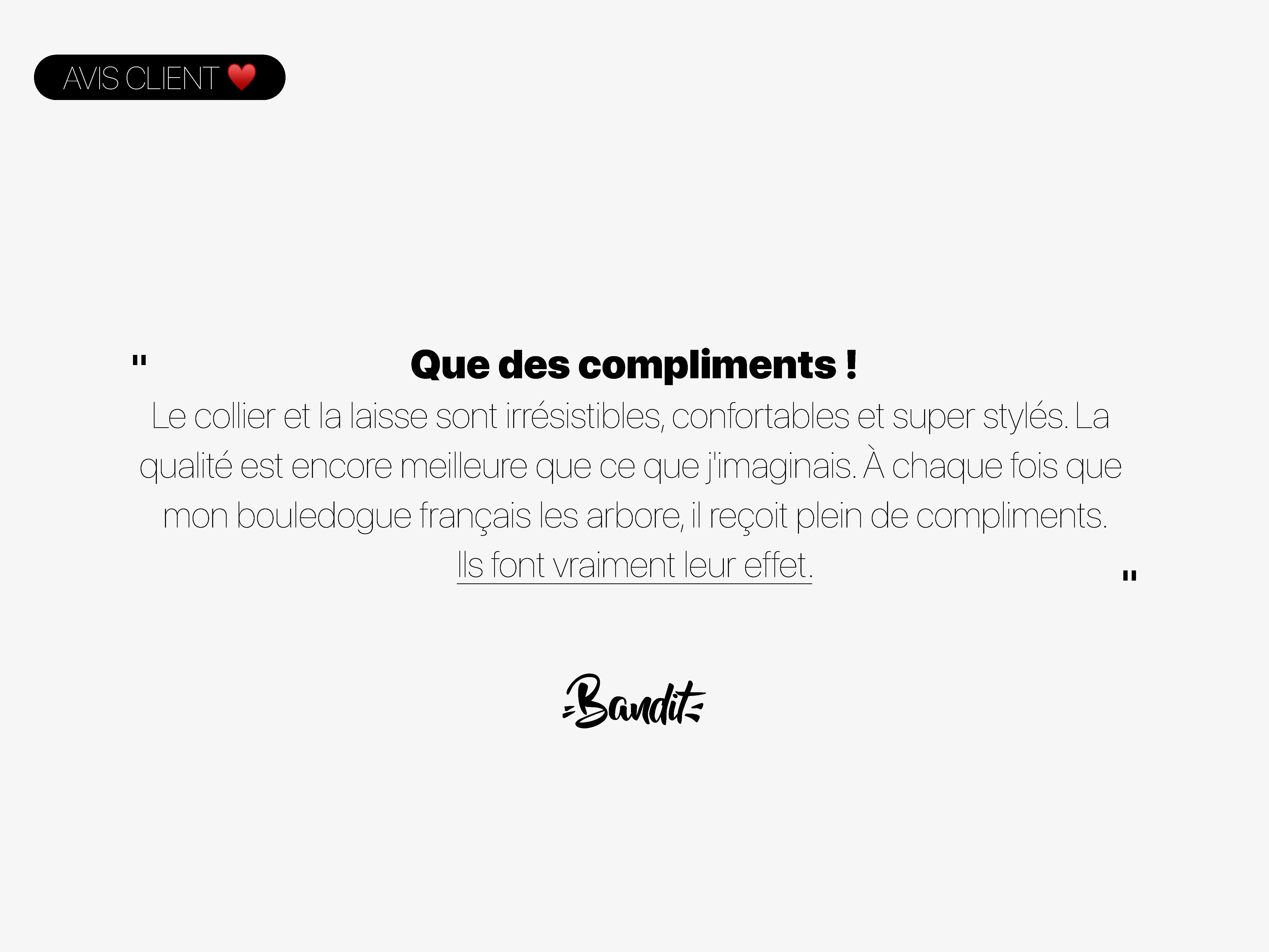 Collar de perro con estampado náutico