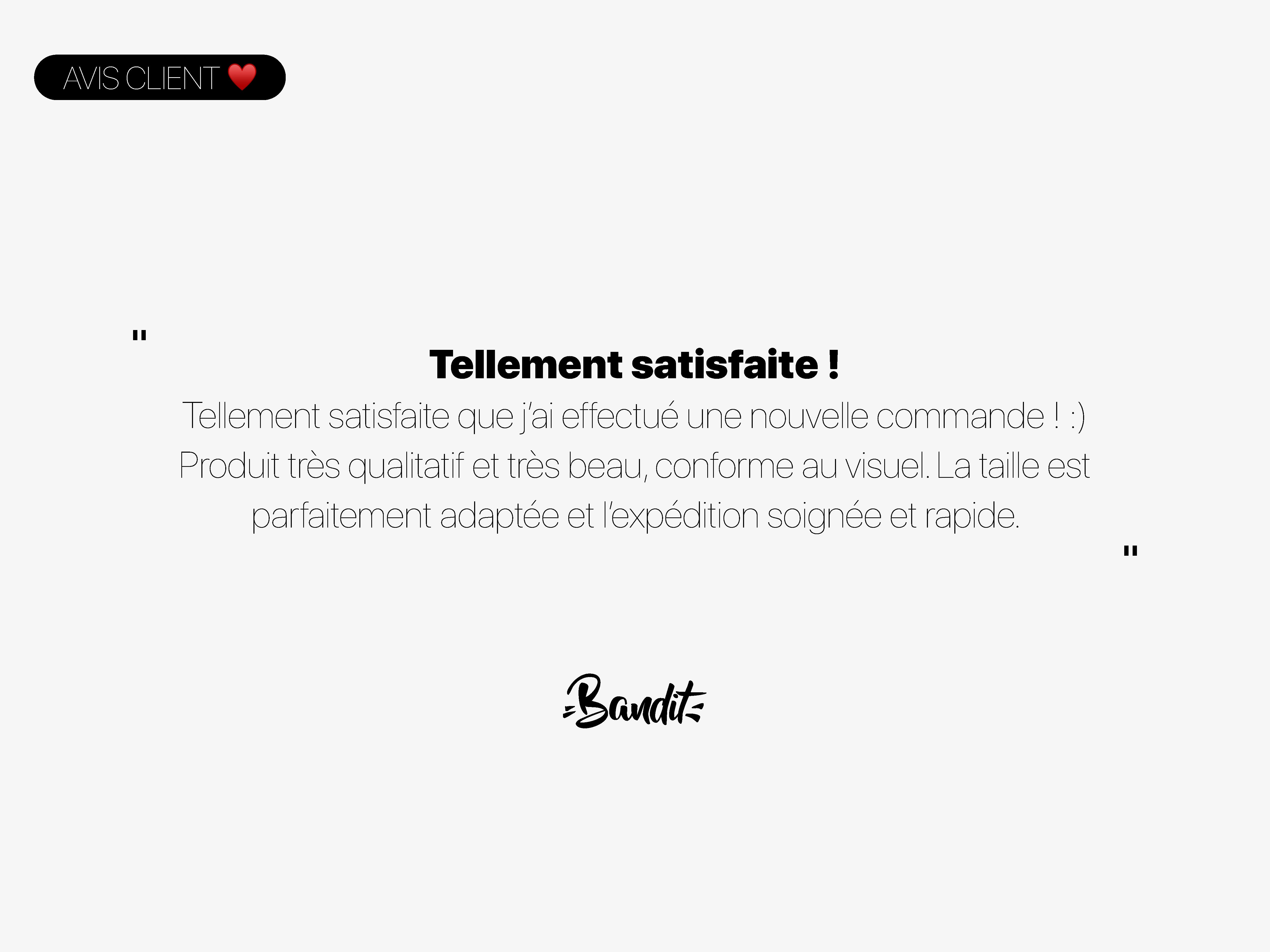 Harnais pour chien motif marin