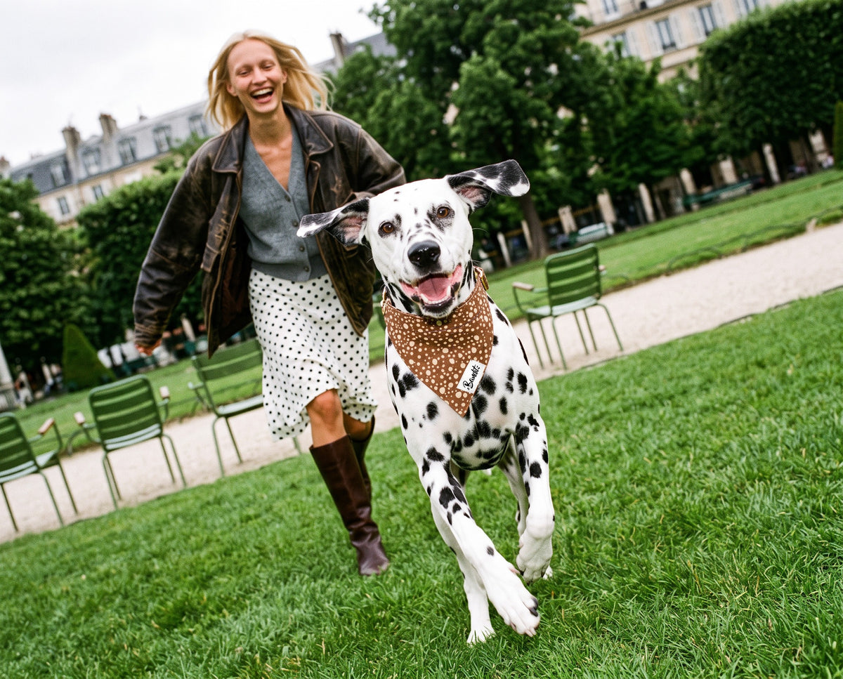 Bandana pour chien motif Faon (pois beige sur fond marron) French Bandit porté par un dalmatien dans un jardin parisien