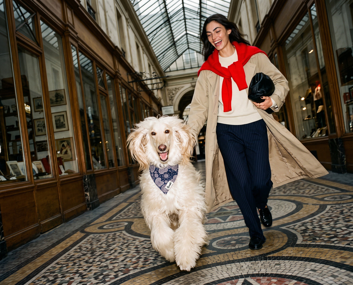 Bandana pour chien motif Minuit (paisley bleu marine) French Bandit porté par un lévrier afghan à Paris