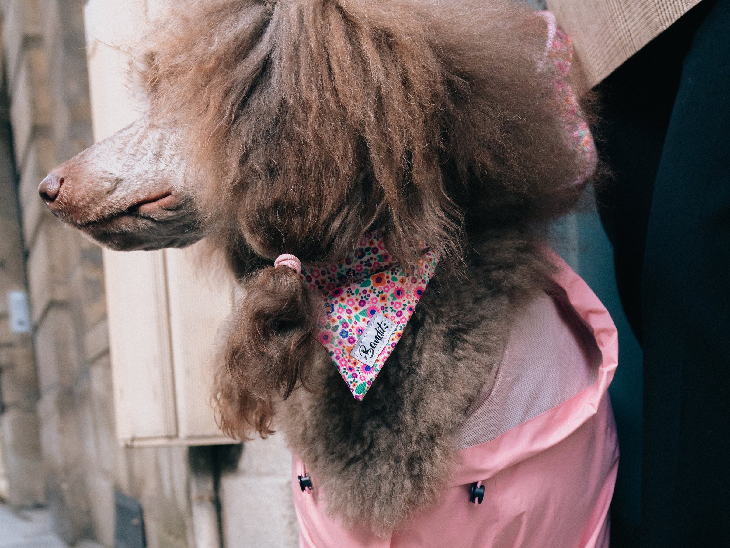 Bandana pour chien imprimé fleuri rose