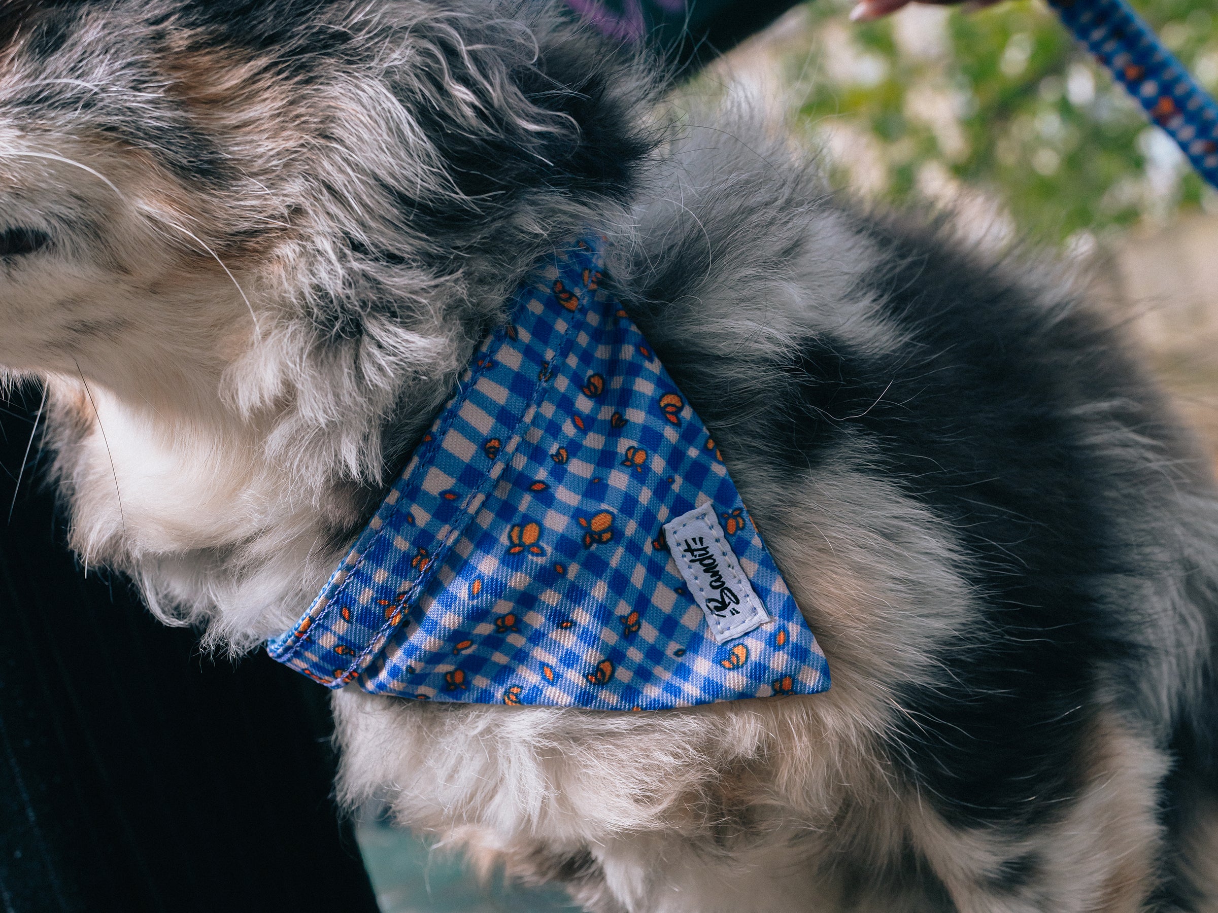 Bandana pour chien imprimé vichy bleu