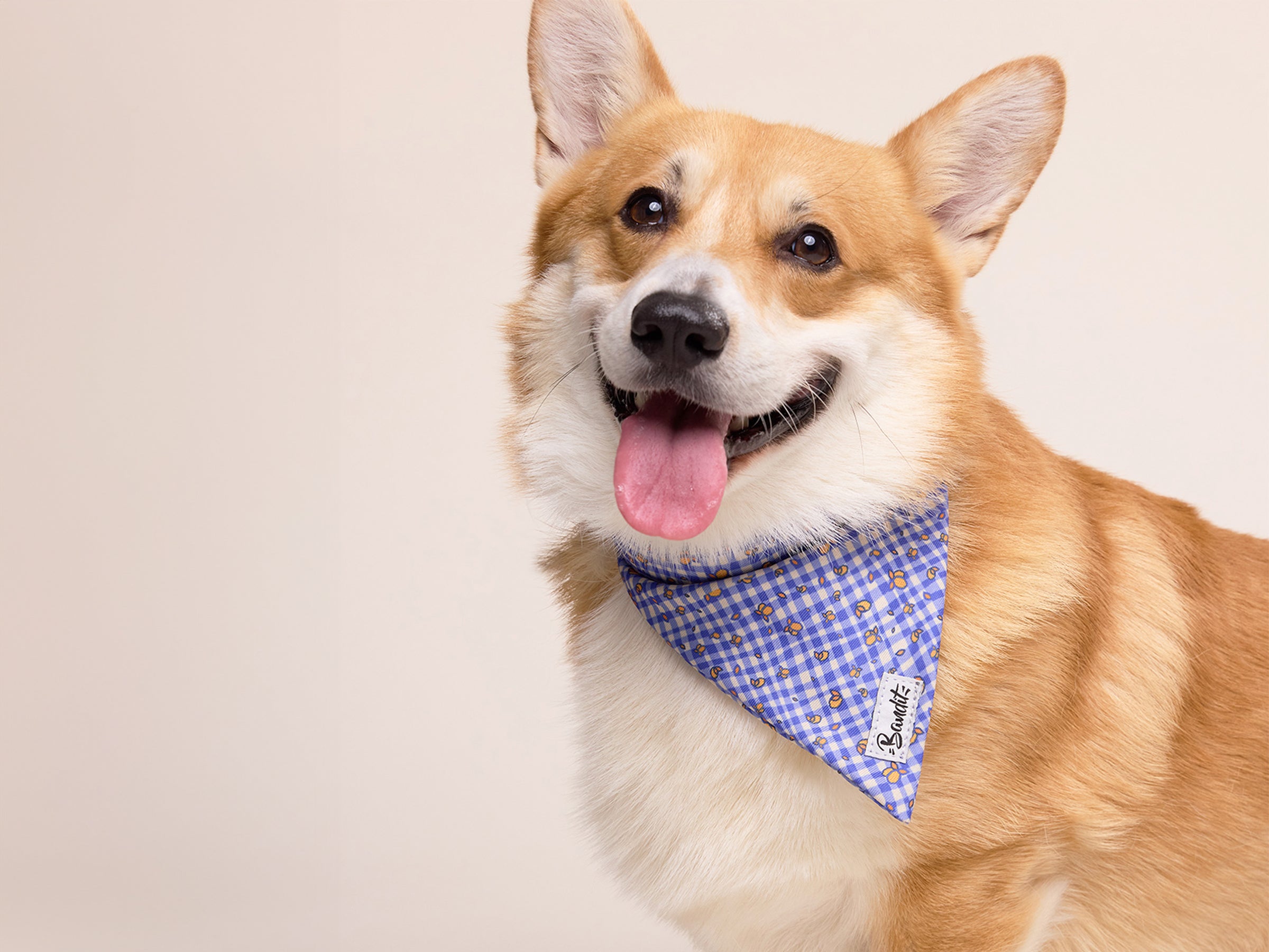 Bandana pour chien imprimé vichy bleu