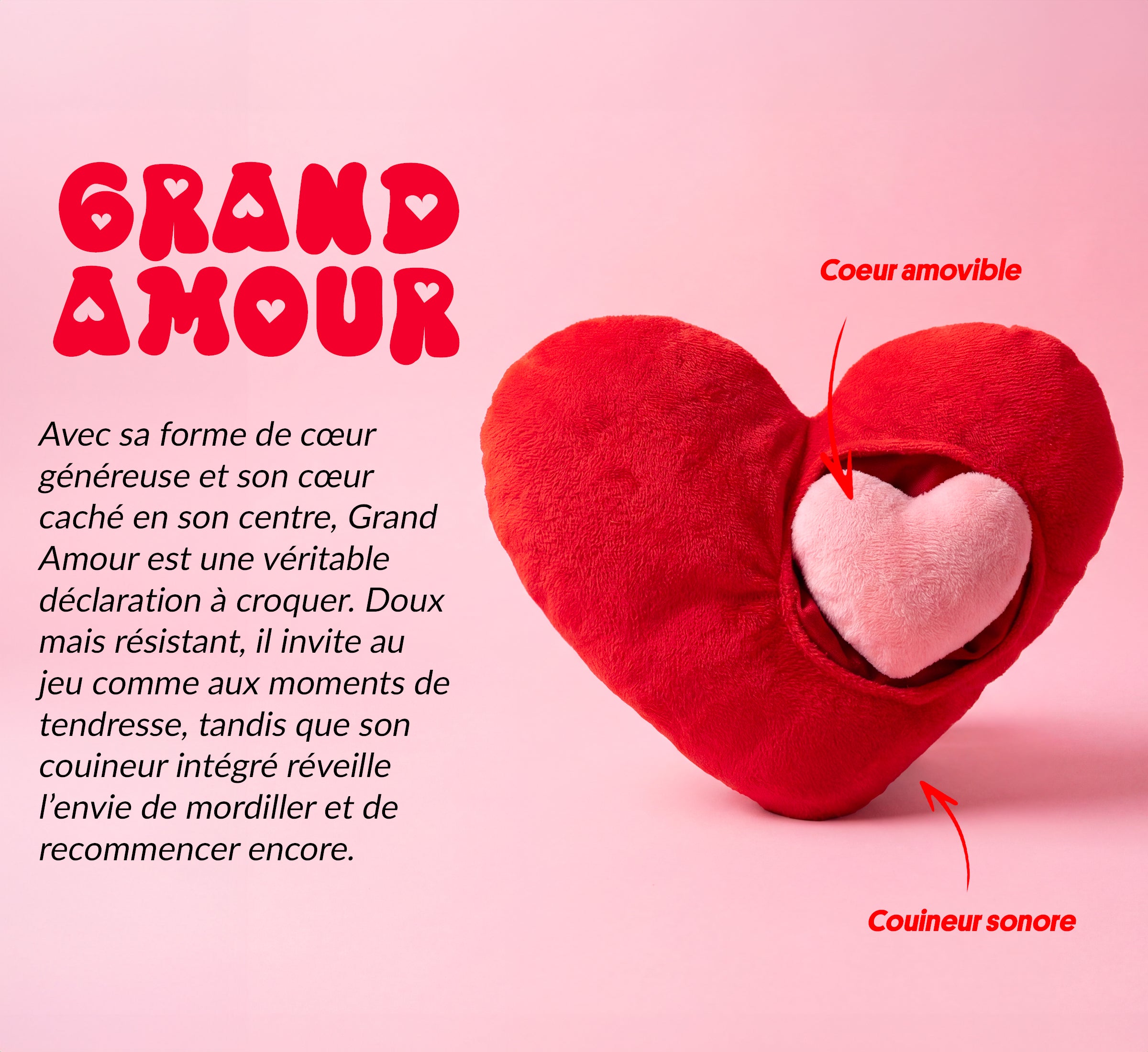 Box jouet pour chien – 2 jouets exclusifs + friandises