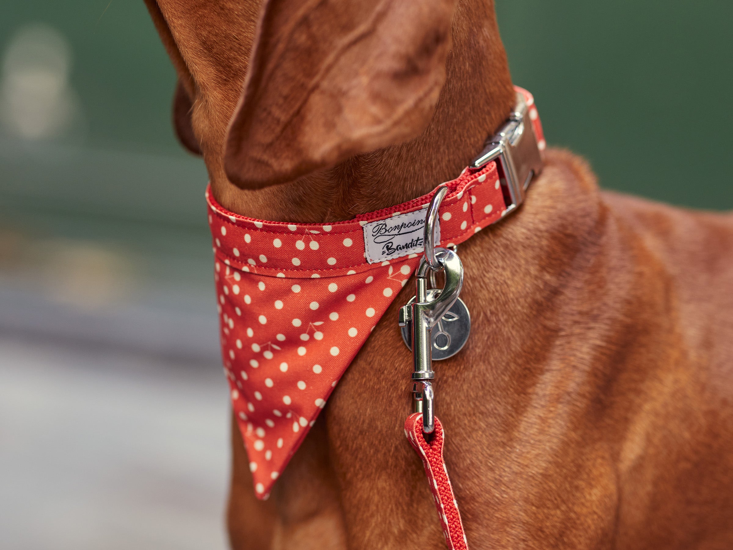 Bandana pour chien, rouge à pois