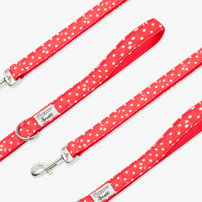 Laisse pour chien, rouge coquelicot