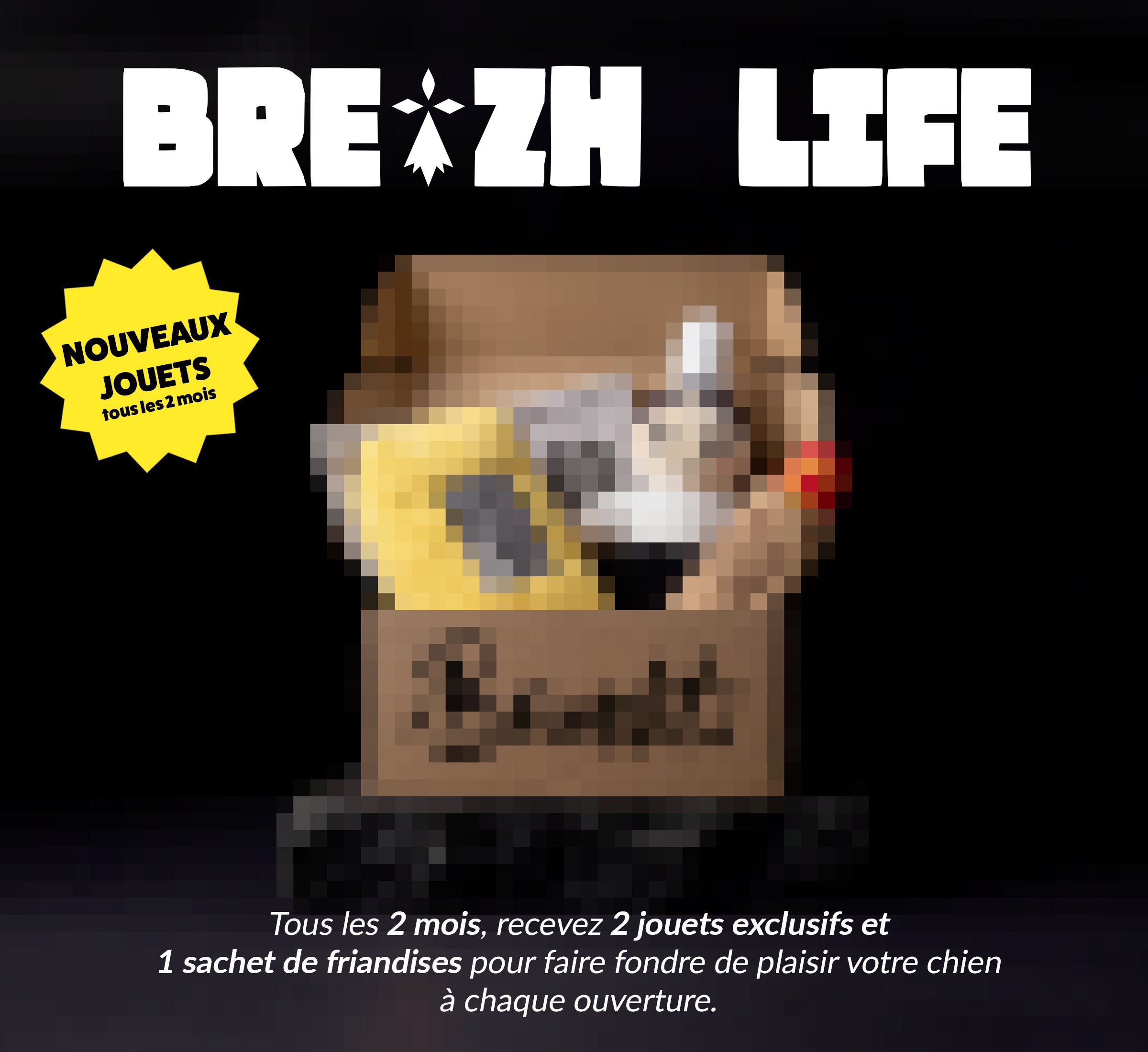 Box jouet pour chien – 2 jouets exclusifs + friandises