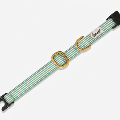 Collier pour chat rayé vert et blanc