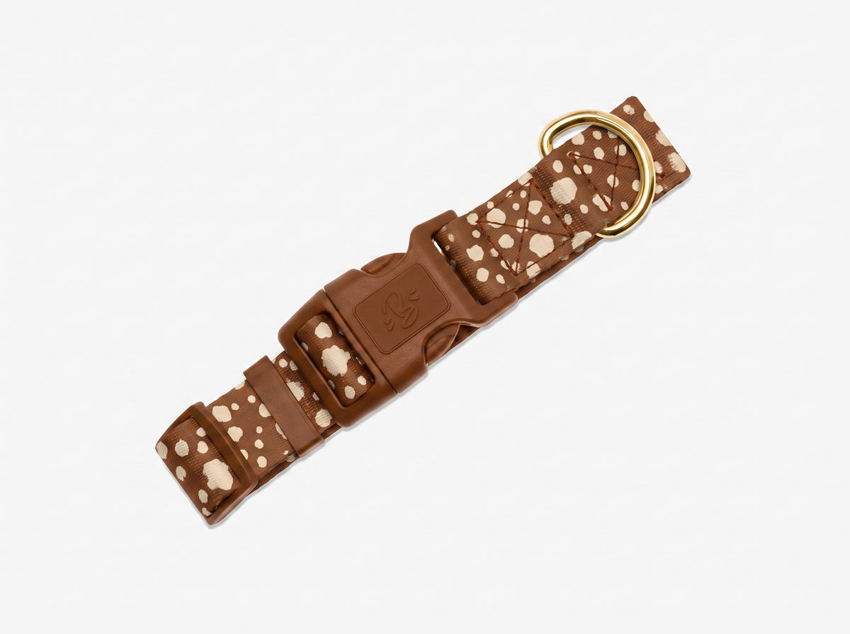 Collier pour chien motif Faon (pois beige sur fond marron) Essentiel French Bandit, vue produit sur fond blanc