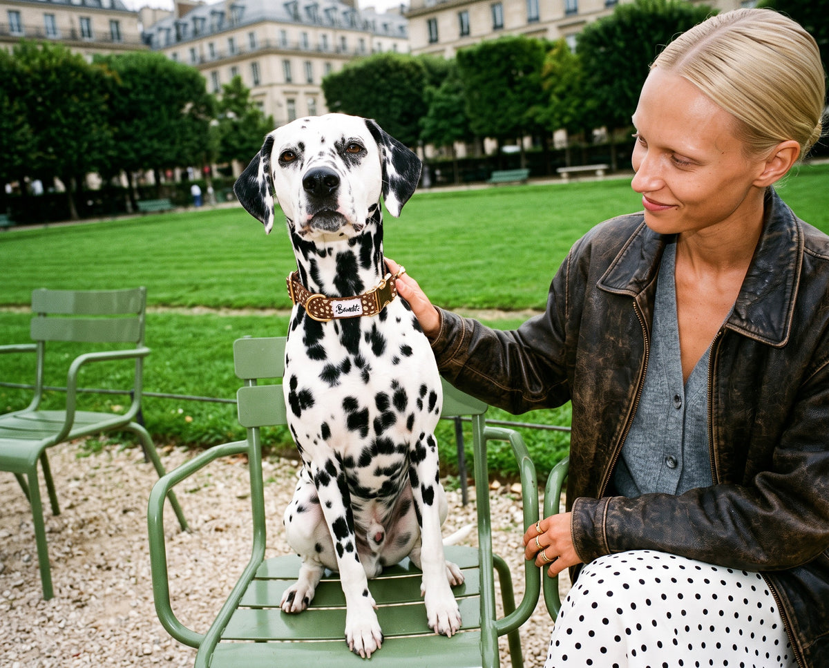 Collier pour chien motif Faon (pois beige sur fond marron) French Bandit porté par un dalmatien dans un jardin parisien