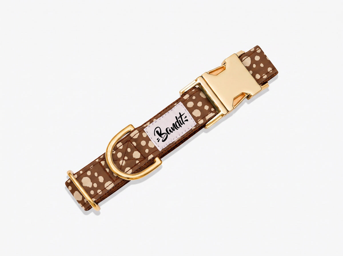 Collier pour chien motif Faon (pois beige sur fond marron) French Bandit, vue produit sur fond blanc