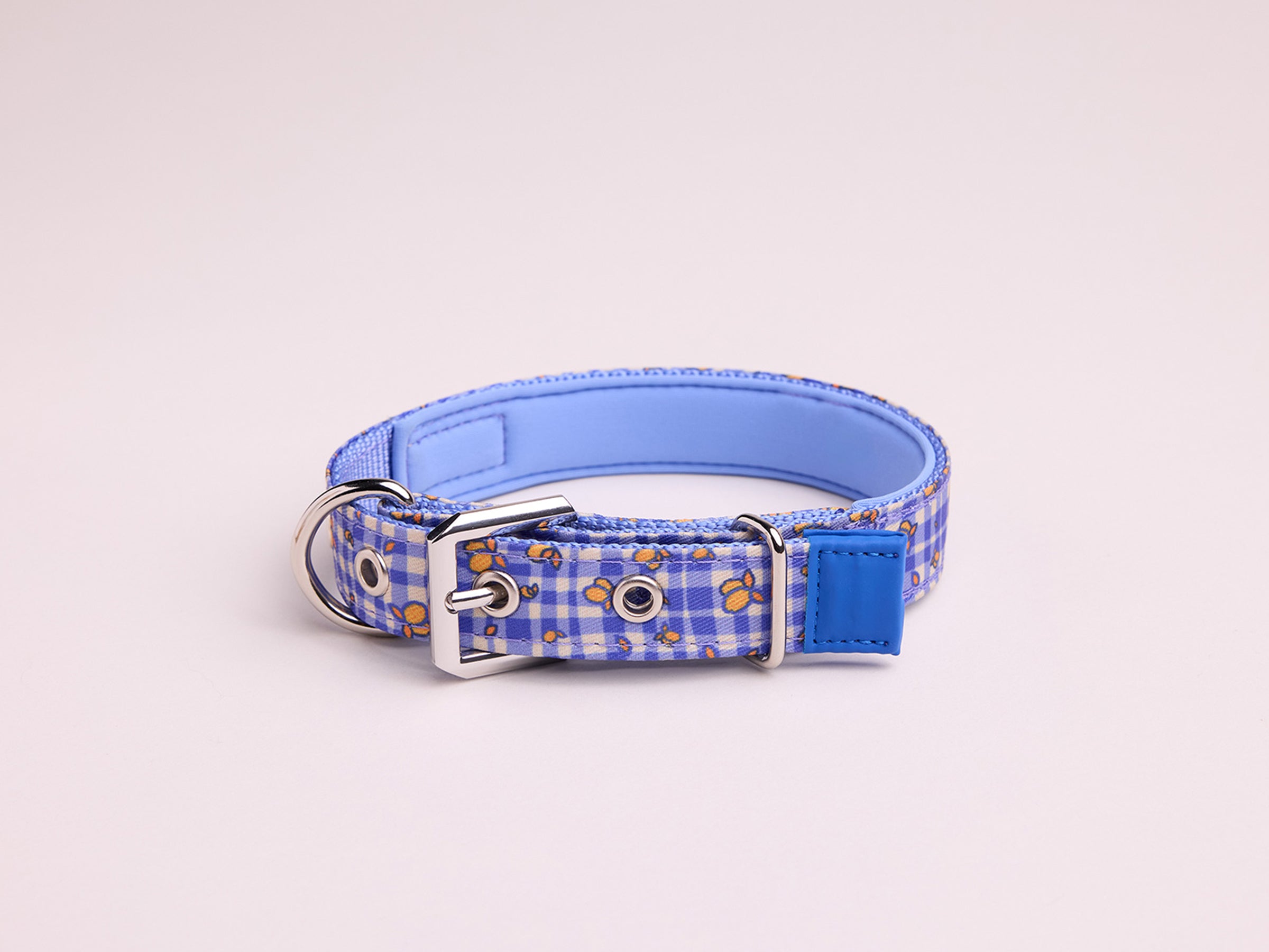 Collier pour chien imprimé vichy bleu