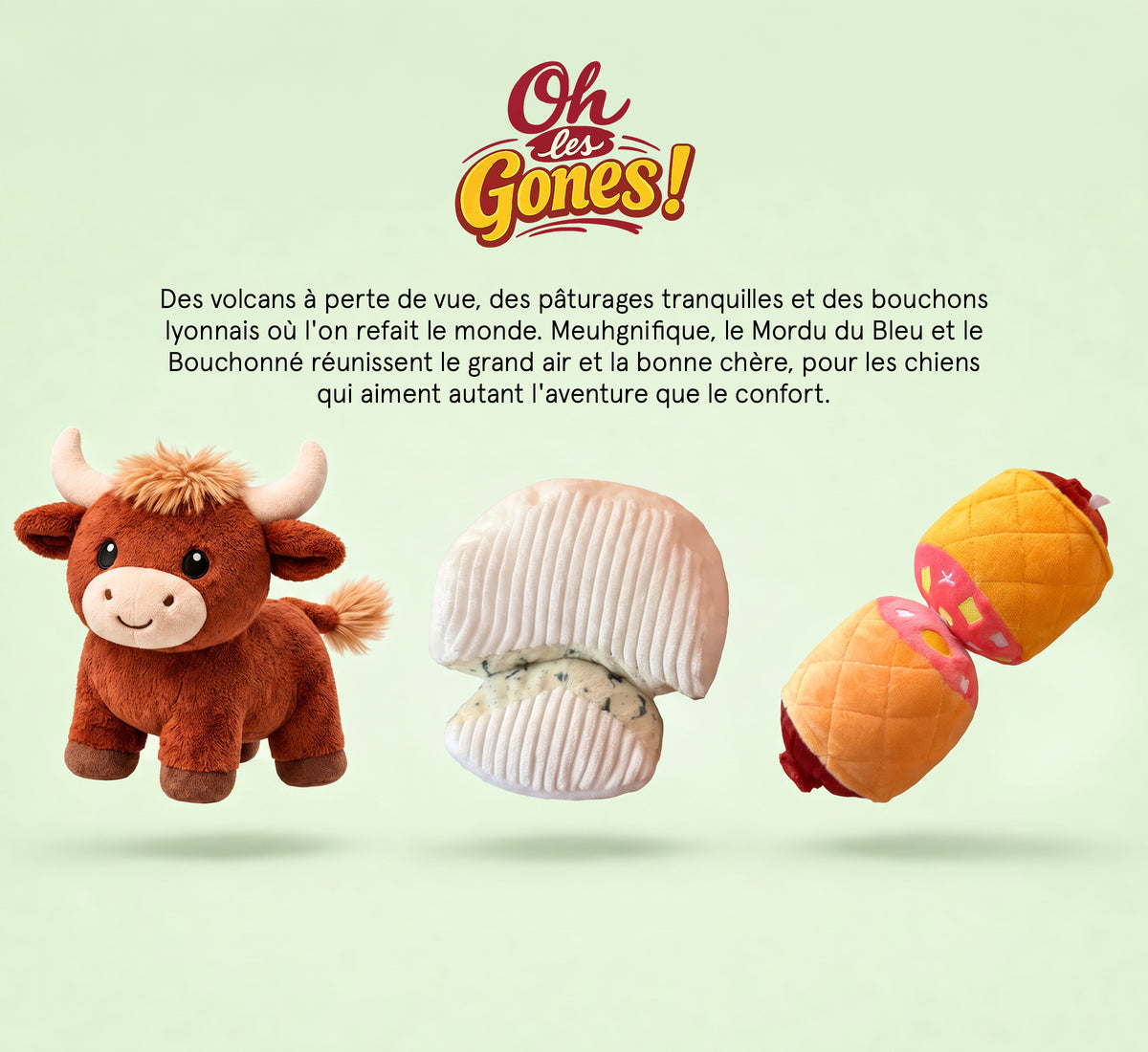 Caja de juguetes para perros: 2 juguetes exclusivos + golosinas