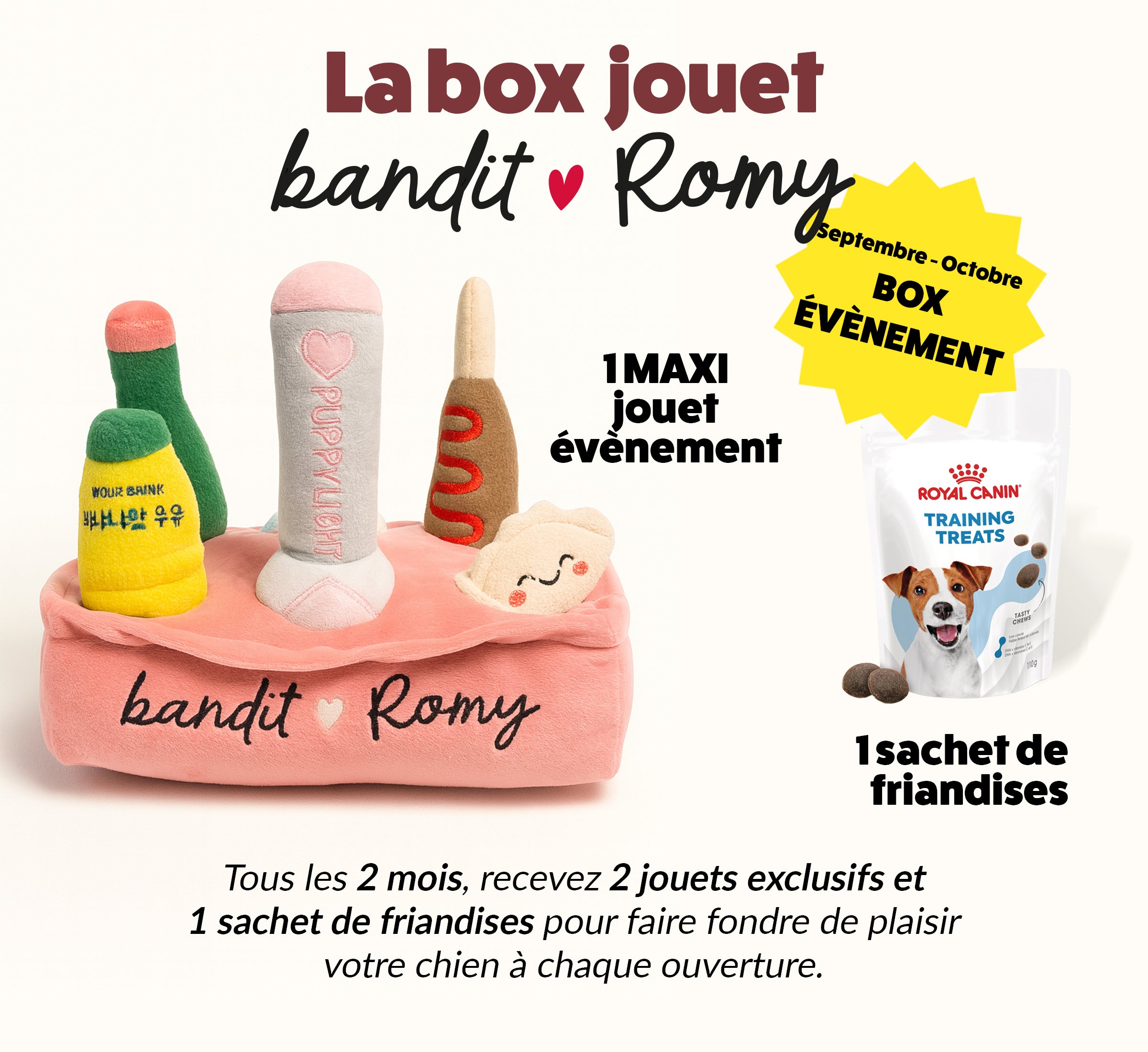 Box jouet pour chien – 2 jouets exclusifs + friandises