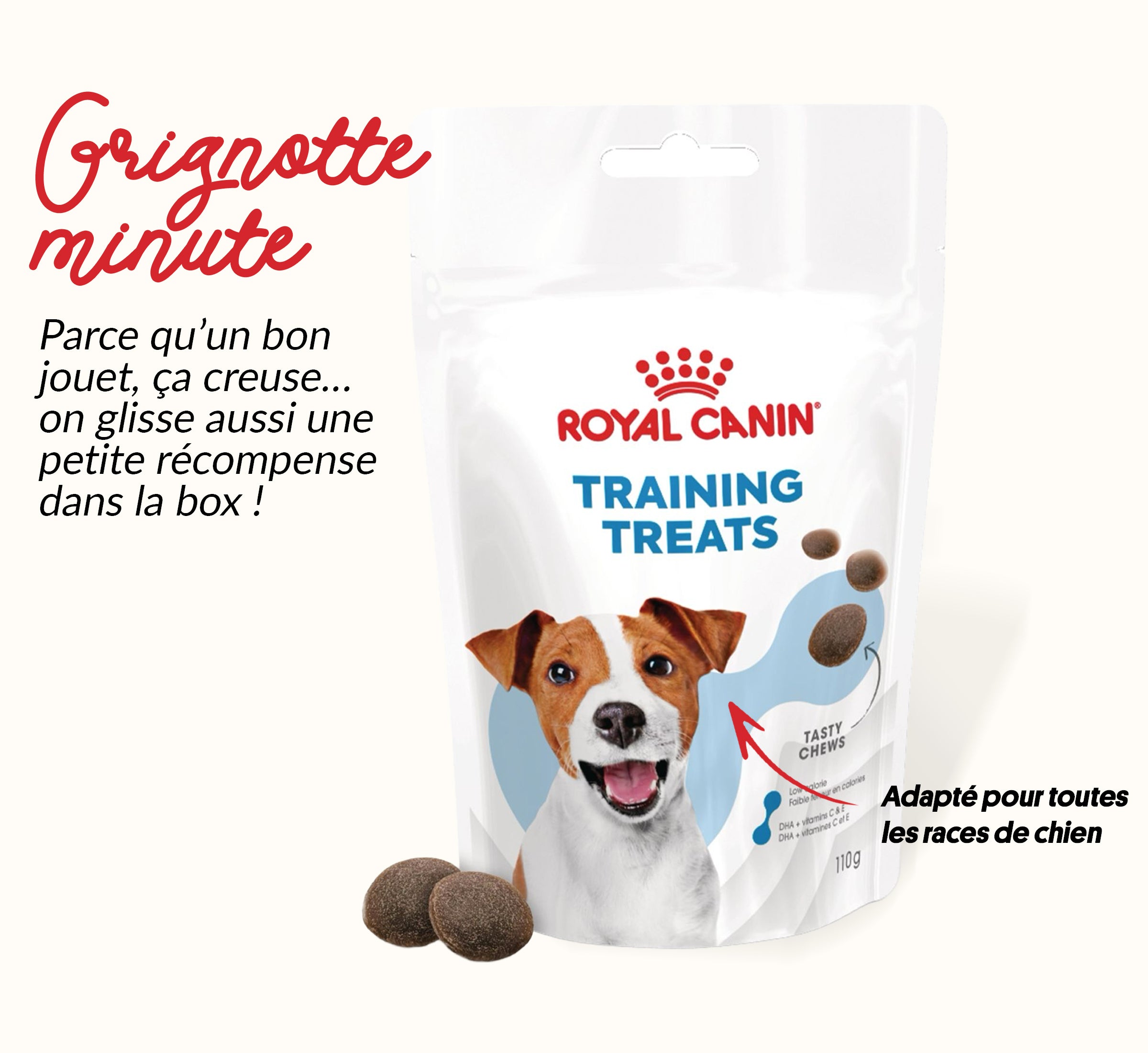 Box jouet pour chien – 2 jouets exclusifs + friandises