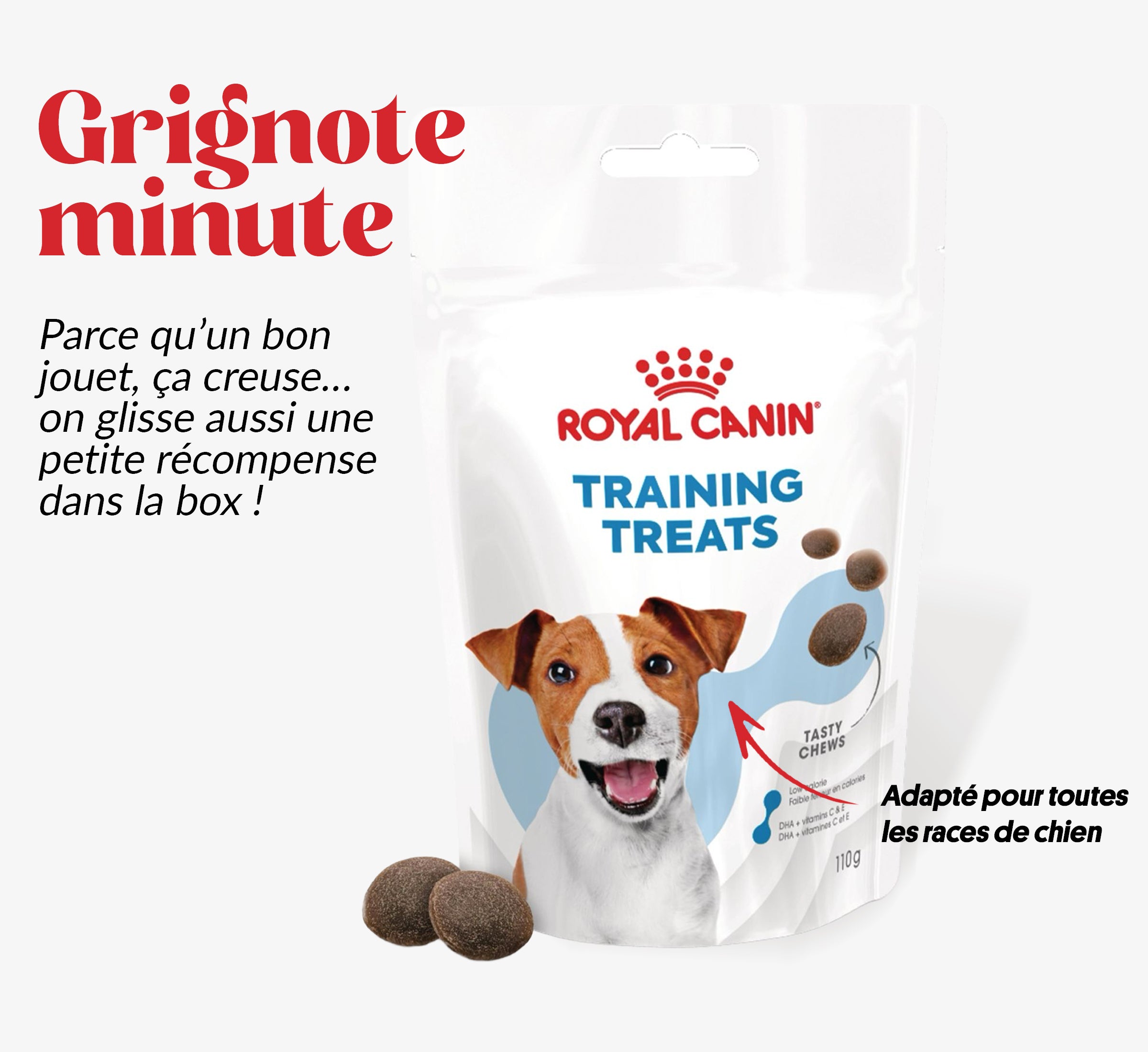 Box jouet pour chien – 2 jouets exclusifs + friandises