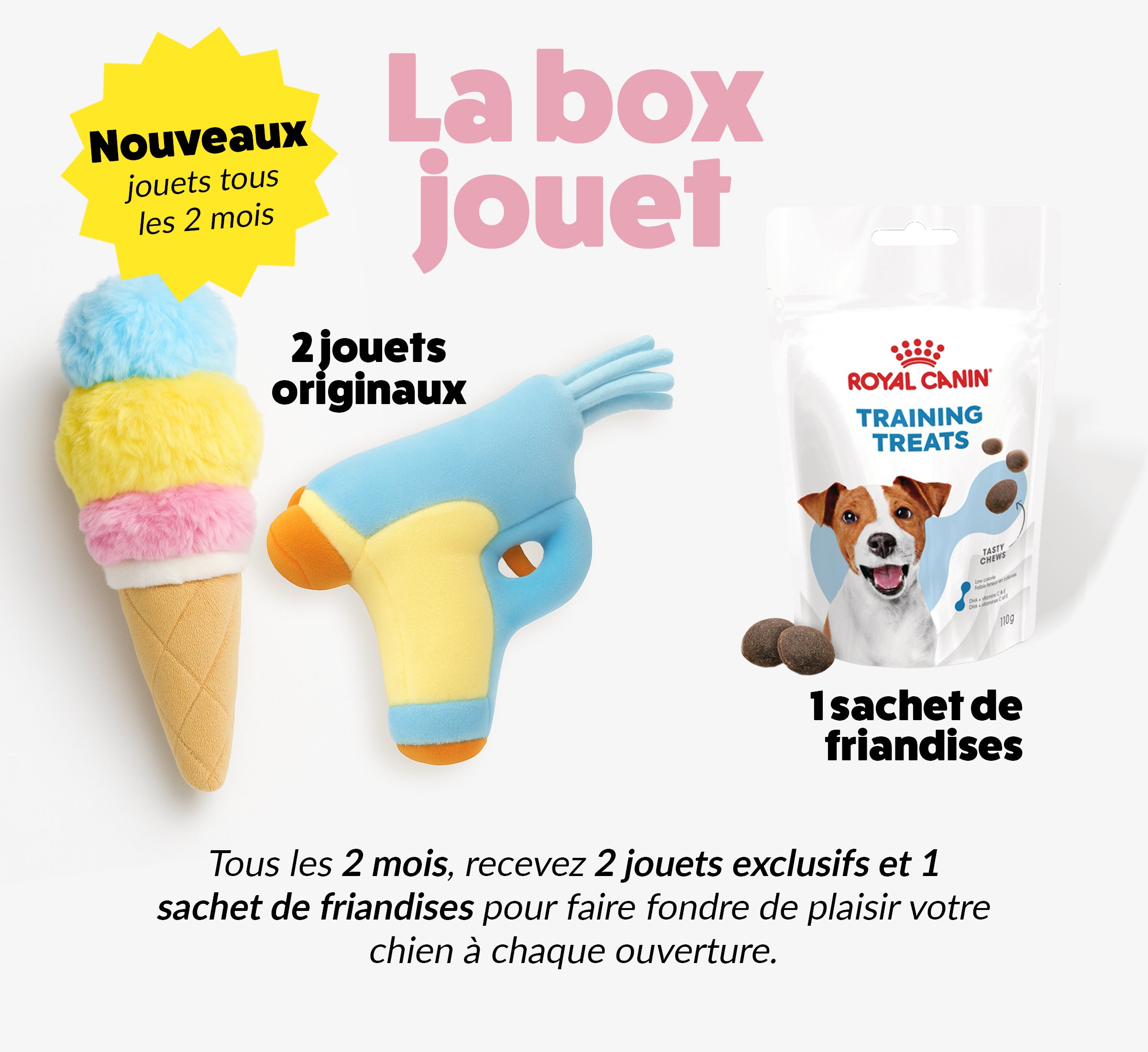 Box jouet pour chien – 2 jouets exclusifs + friandises