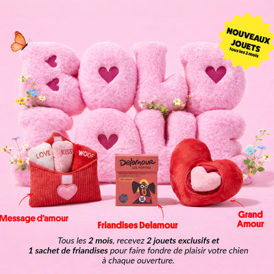 Box jouet pour chien – 2 jouets exclusifs + friandises