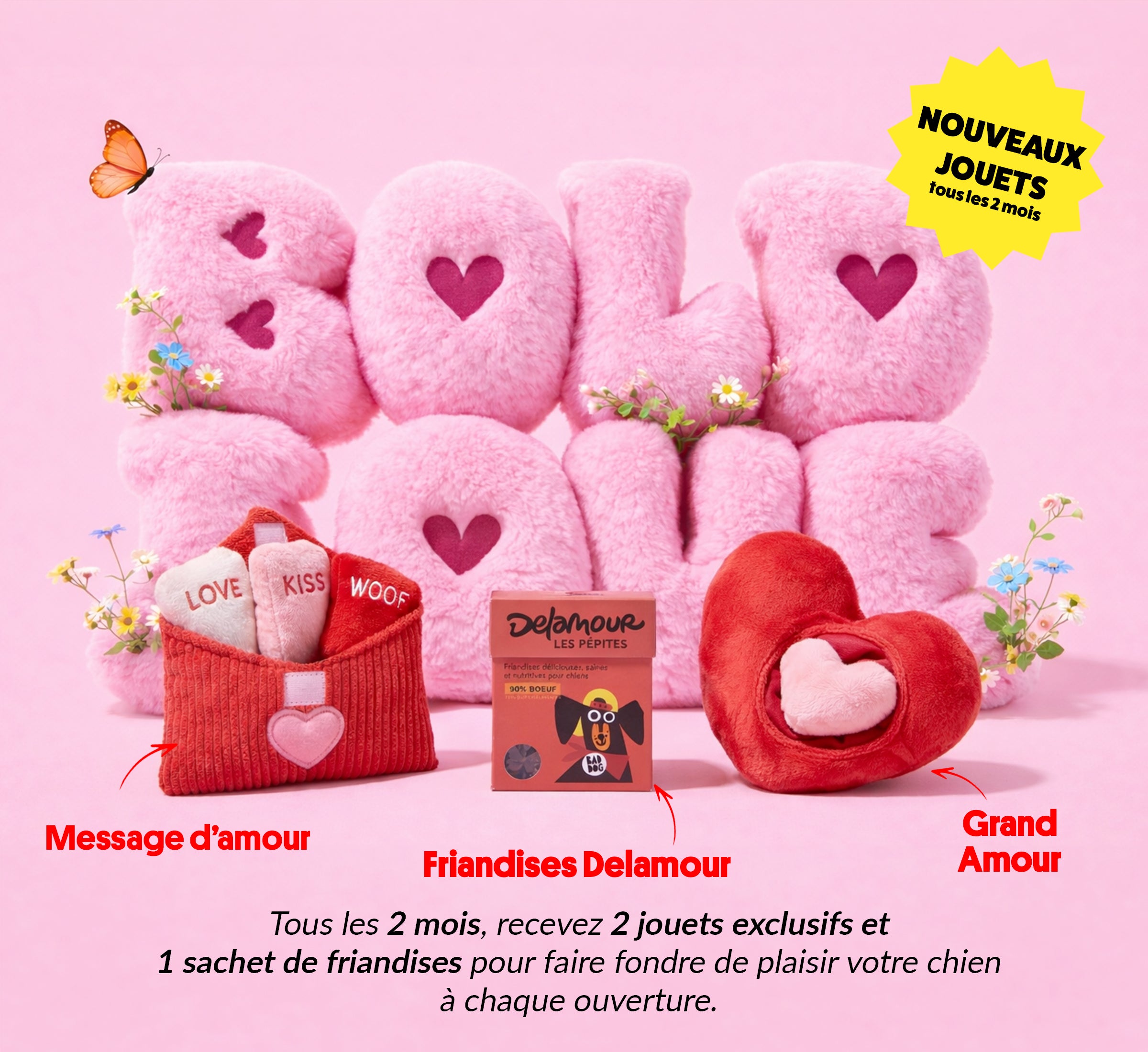 Box jouet pour chien – 2 jouets exclusifs + friandises