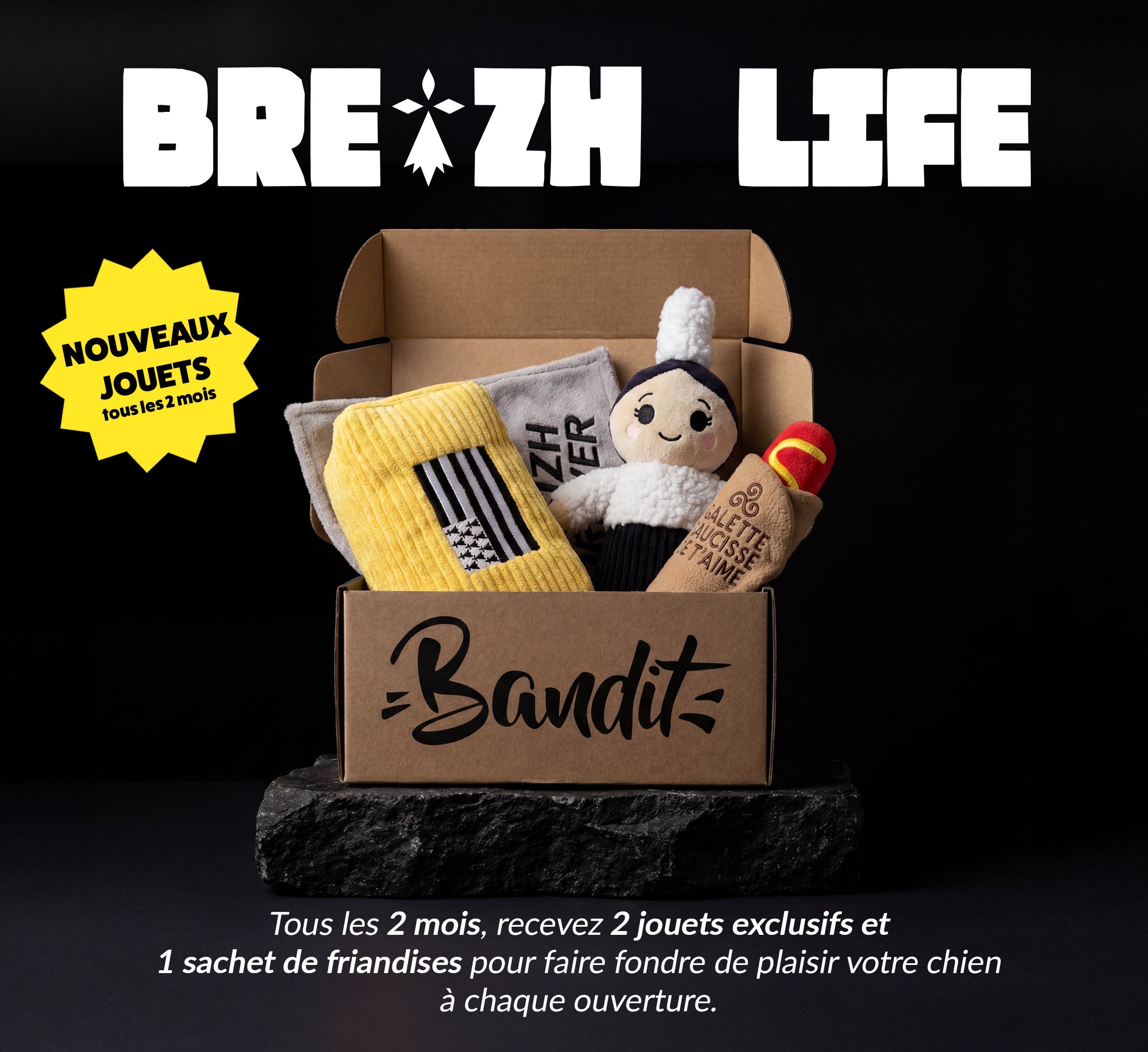 Box jouet pour chien – 2 jouets exclusifs + friandises