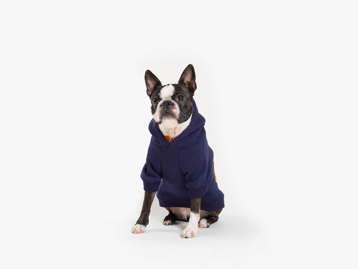 Hoodies à capuche pour chien