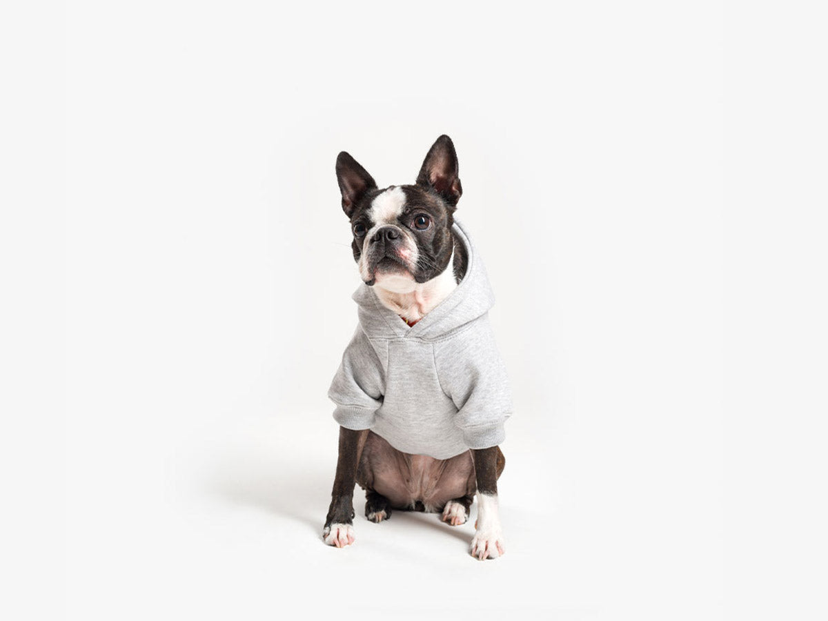 Hoodies à capuche pour chien