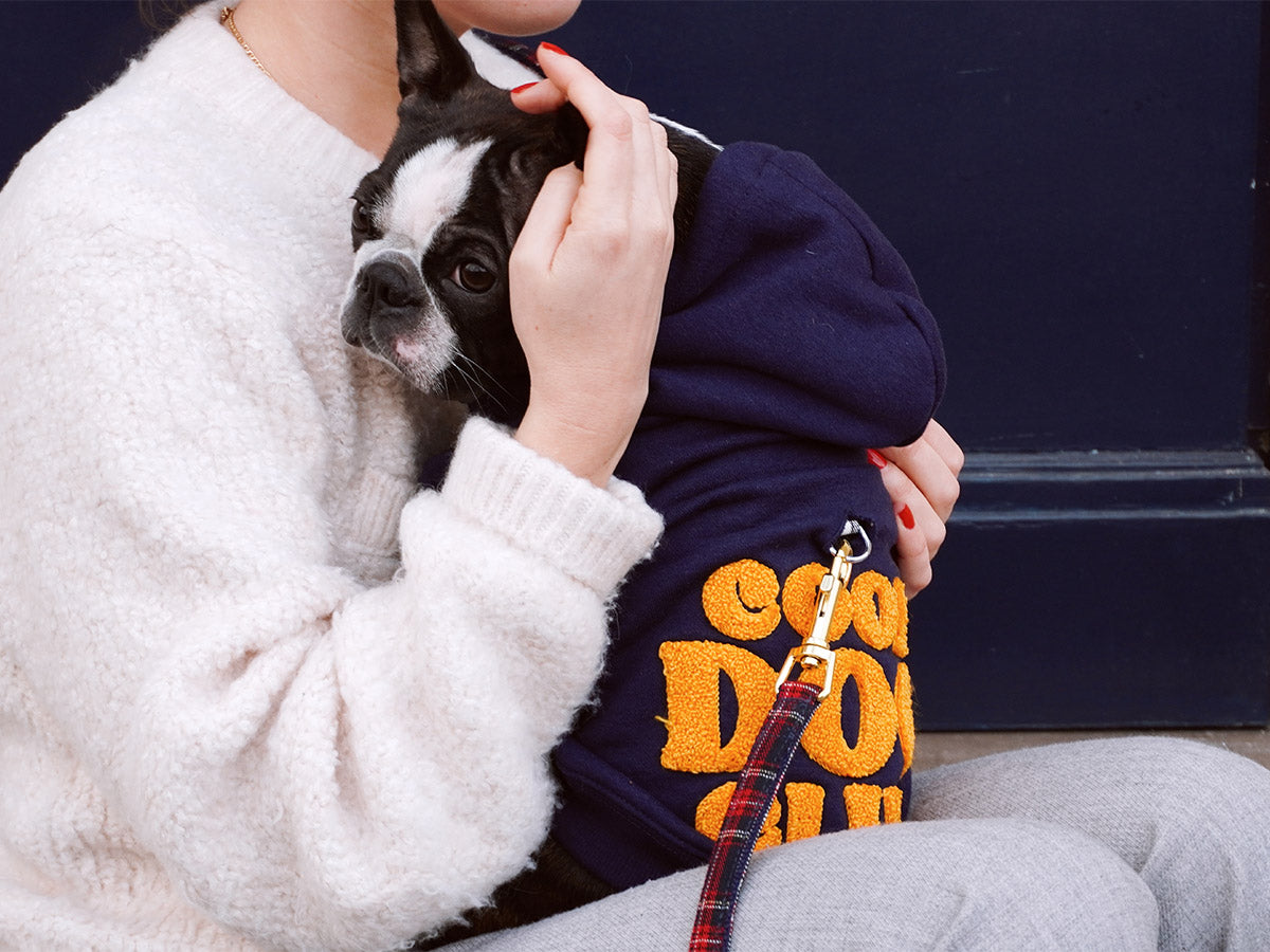 Hoodies à capuche pour chien