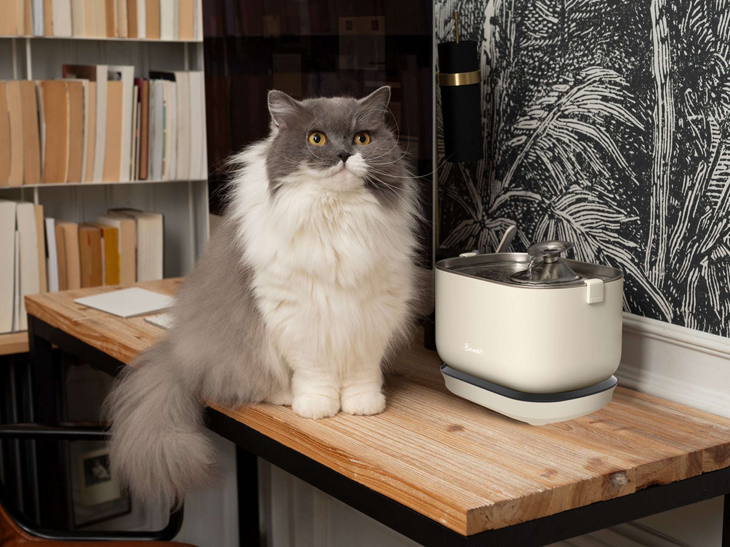 Fontaine à eau sans fil pour chat