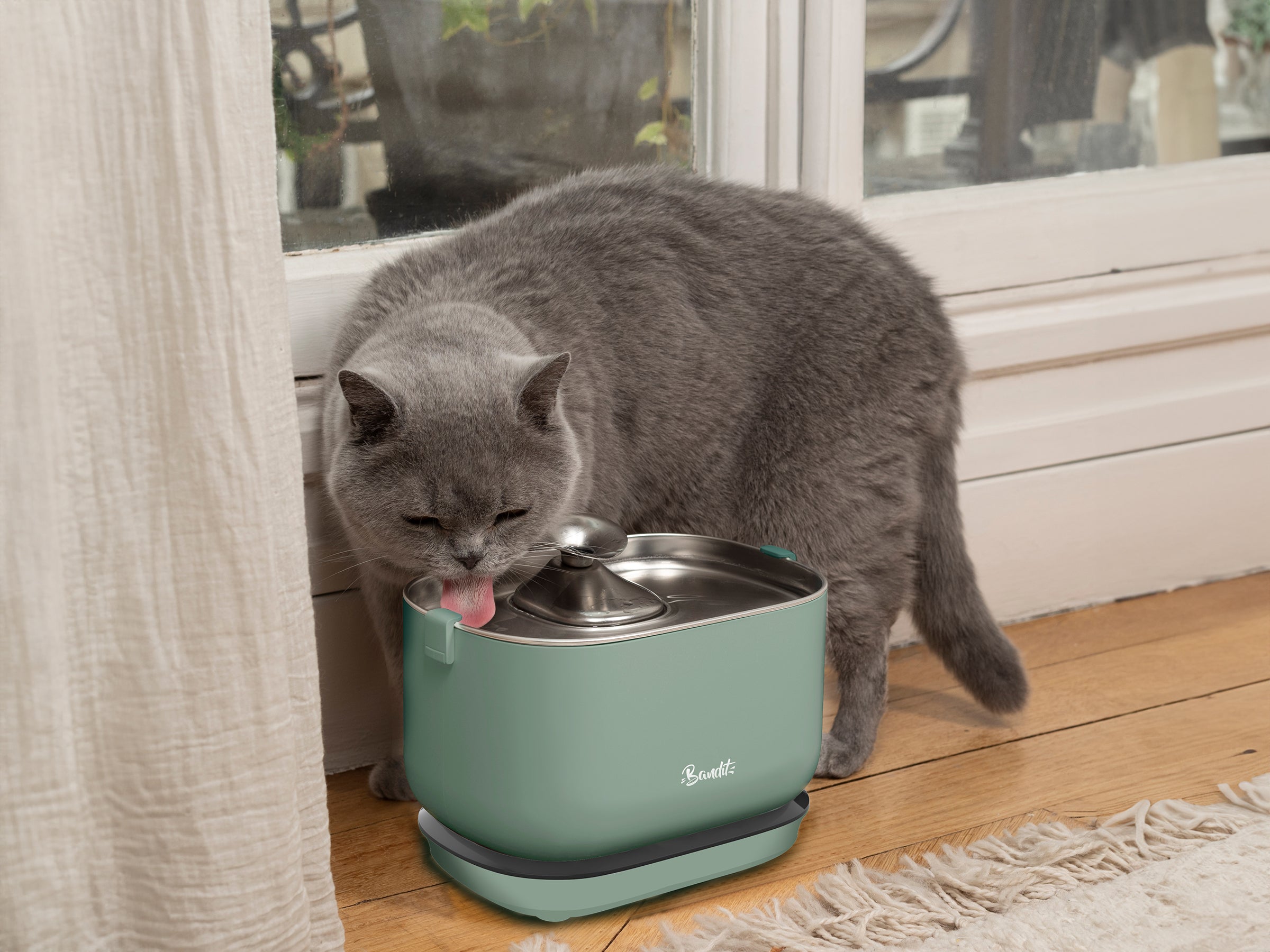 Fontaine à eau sans fil pour chat