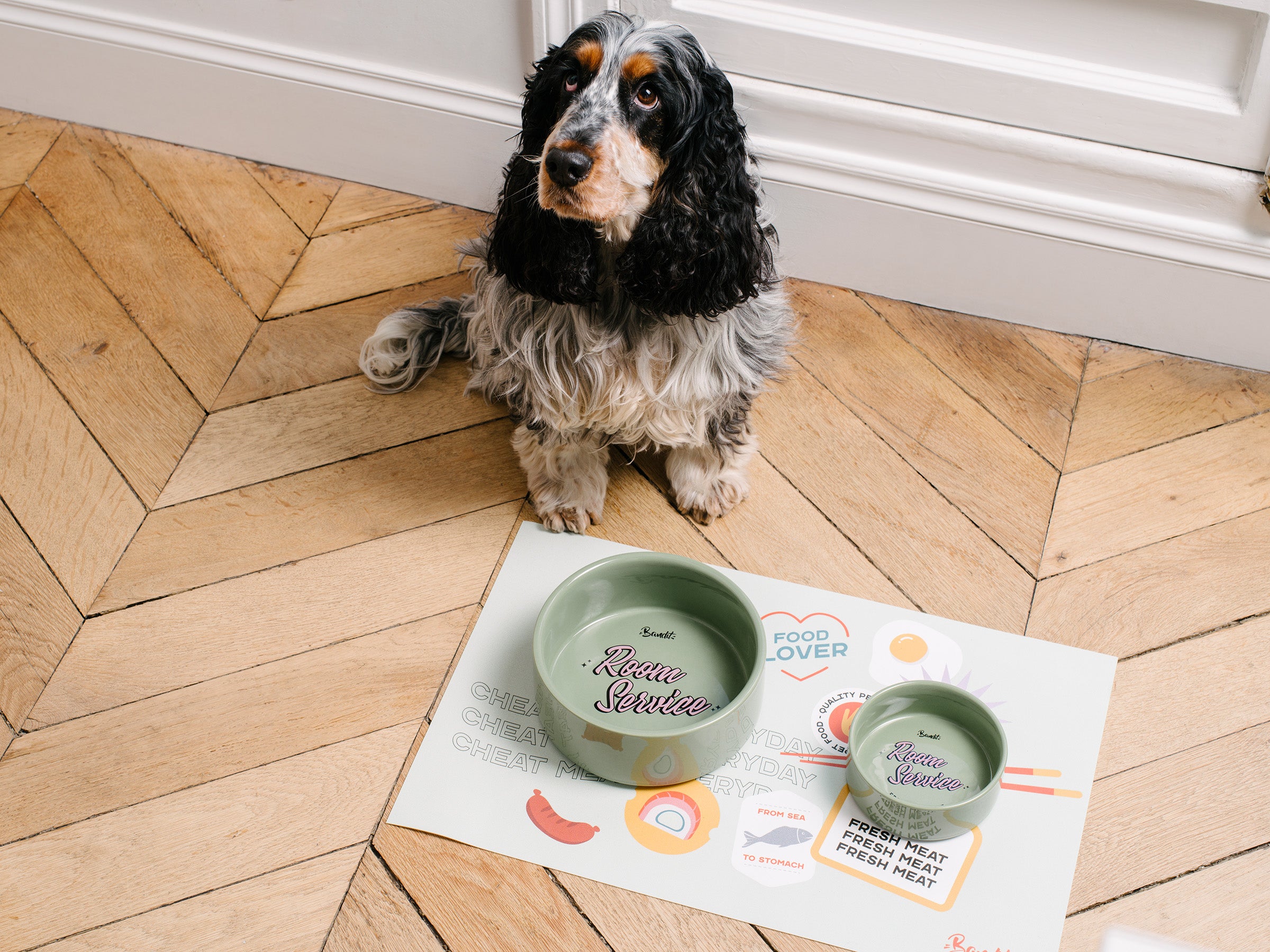 Gamelle verte pour chien & chat
