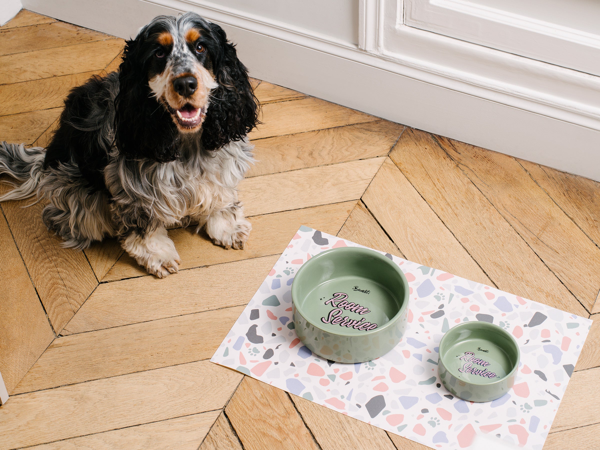 Gamelle verte pour chien & chat