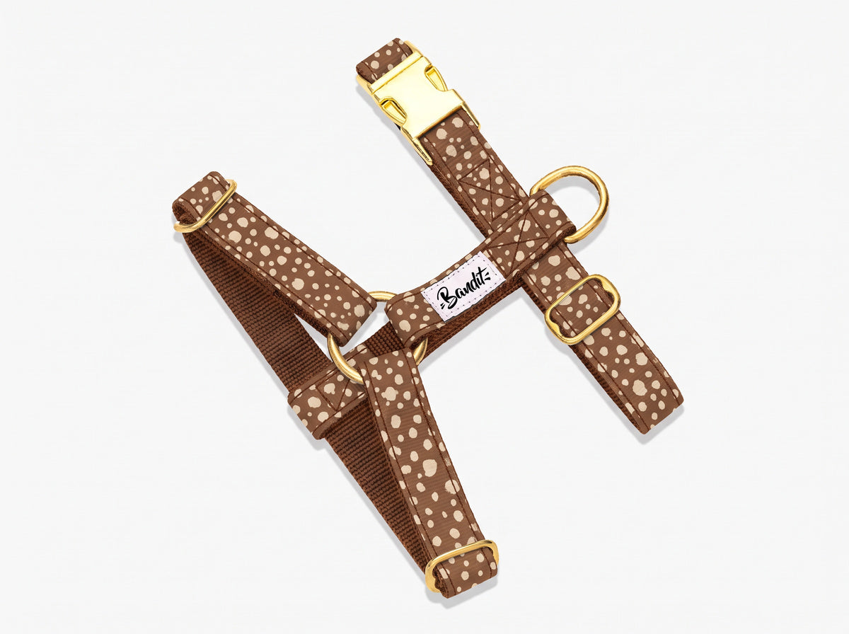 Harnais pour chien motif Faon (pois beige sur fond marron) French Bandit, vue produit sur fond blanc