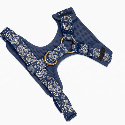 Harnais pour chien motif Minuit (paisley bleu marine) Essentiel French Bandit, vue produit sur fond blanc