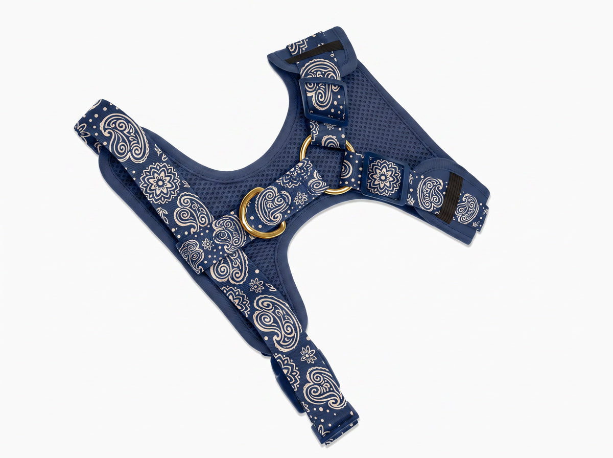 Harnais pour chien motif Minuit (paisley bleu marine) Essentiel French Bandit, vue produit sur fond blanc
